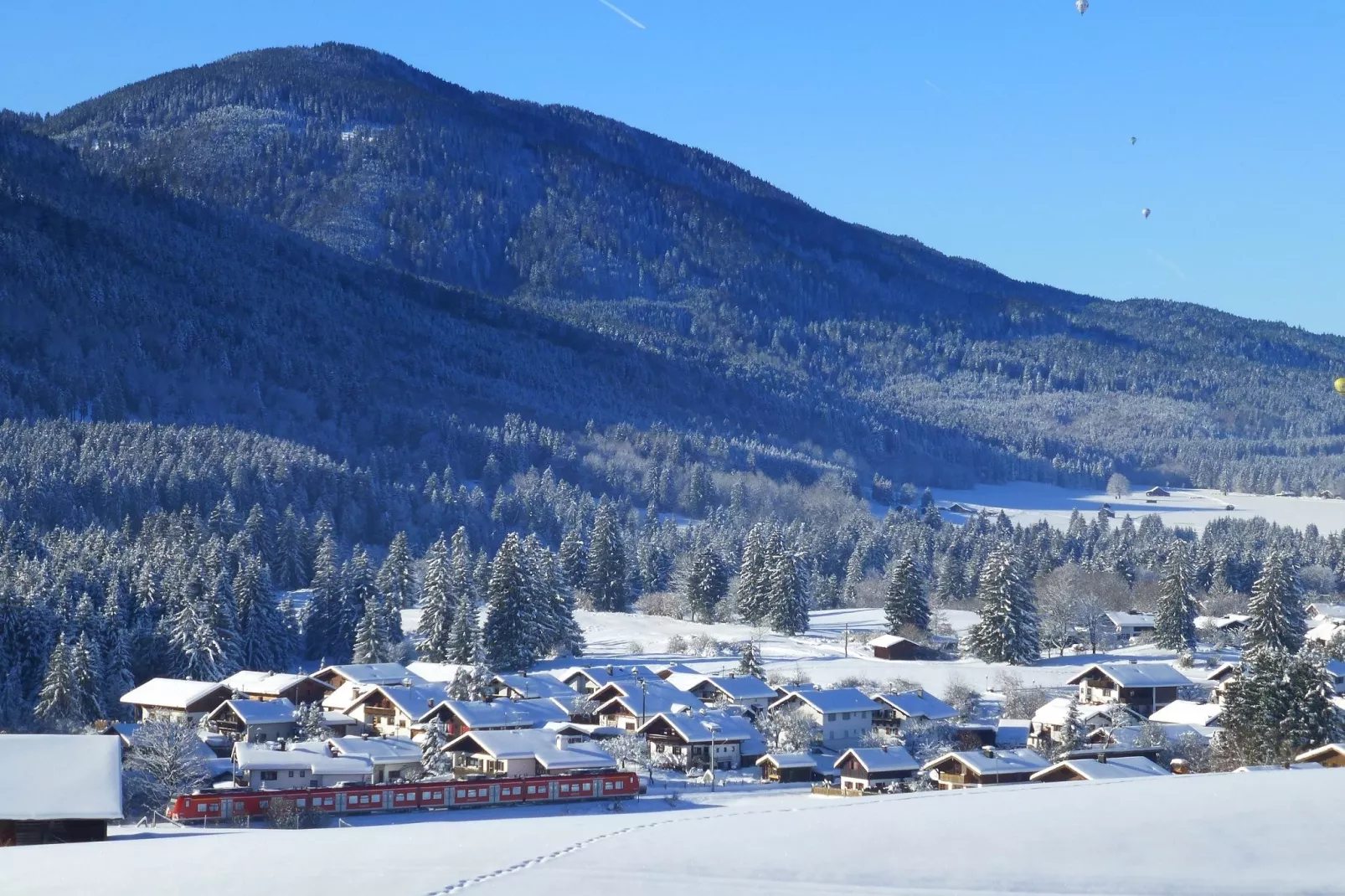 Sonnenblume-Gebied winter 1km