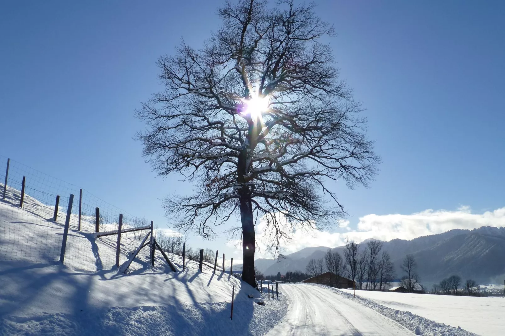 Sonnenblume-Gebied winter 1km