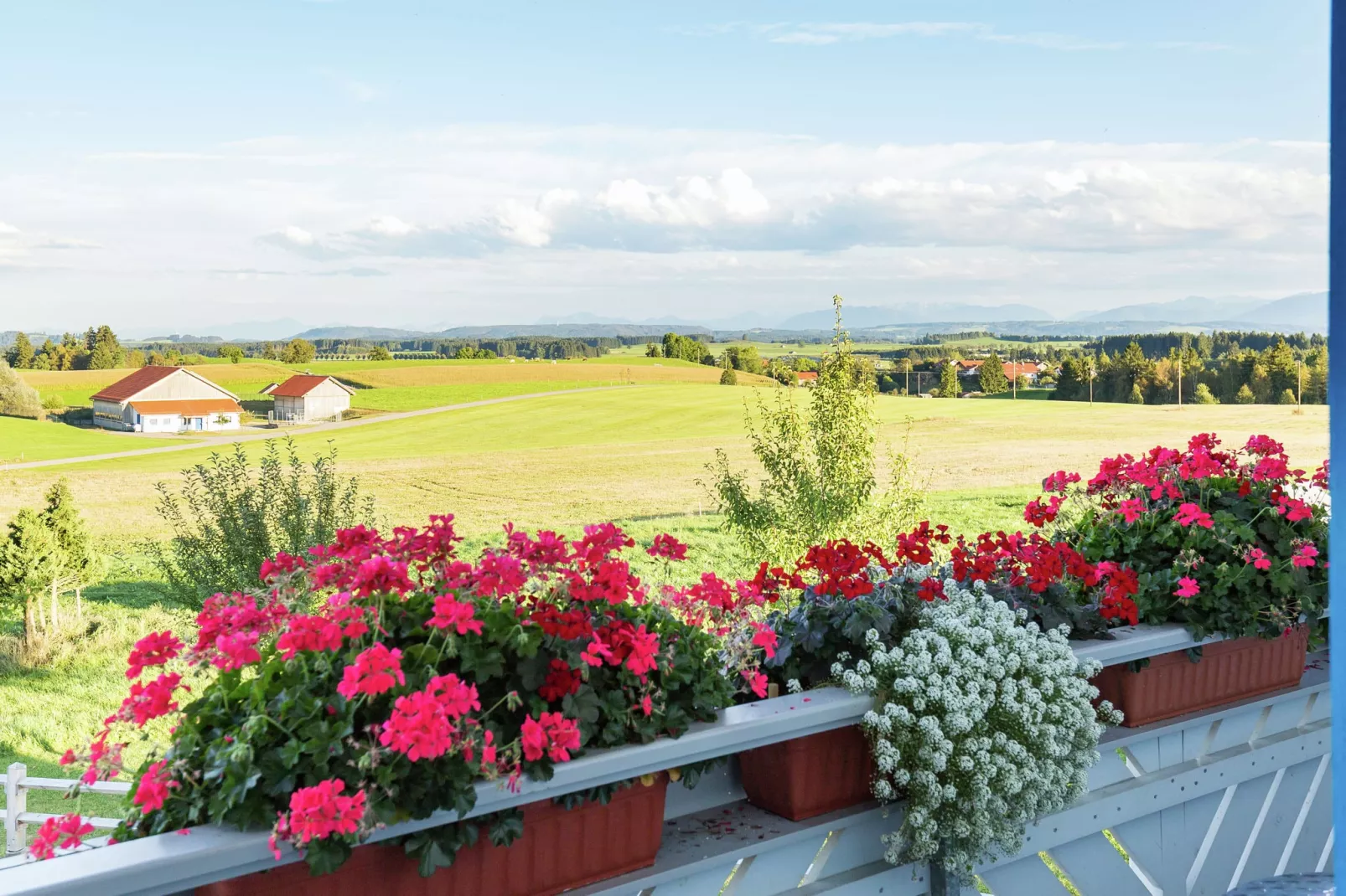 Am Berghof-Uitzicht zomer