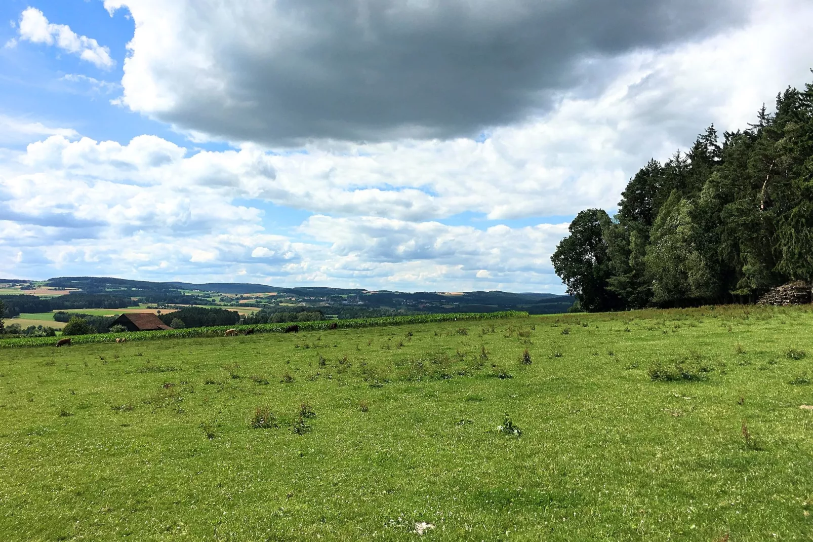 Oberer Bayerischer Wald-Uitzicht zomer