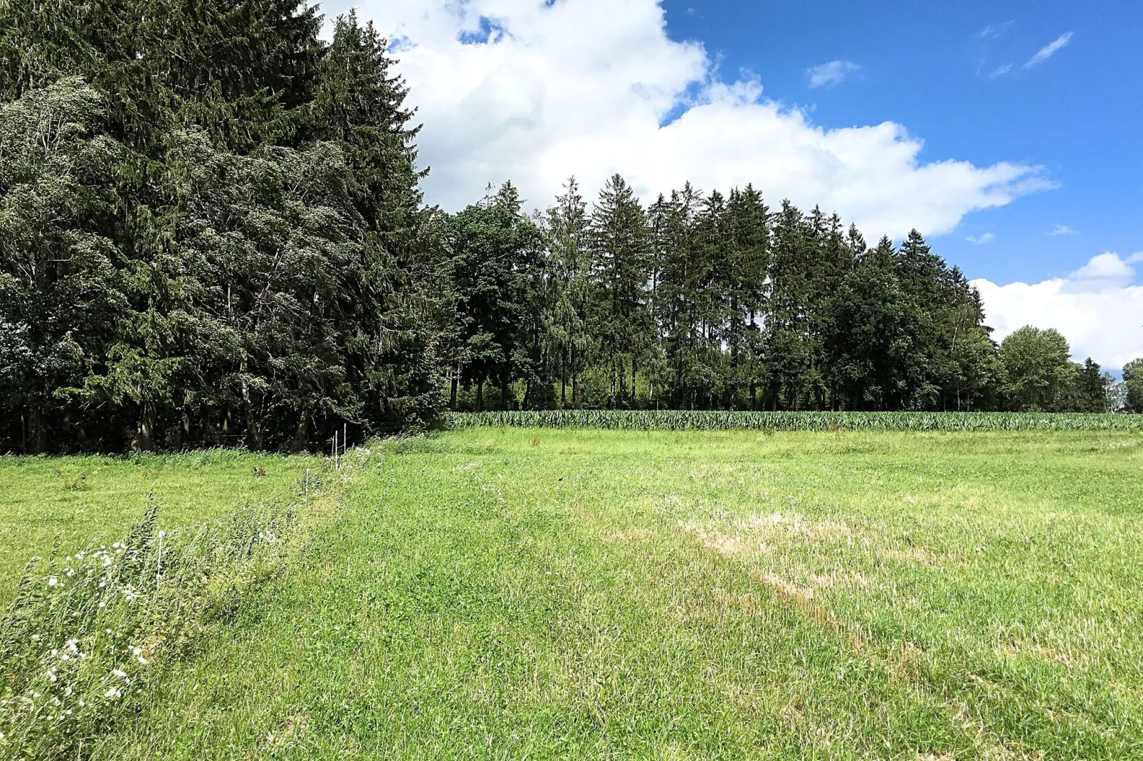 Oberer Bayerischer Wald-Uitzicht zomer