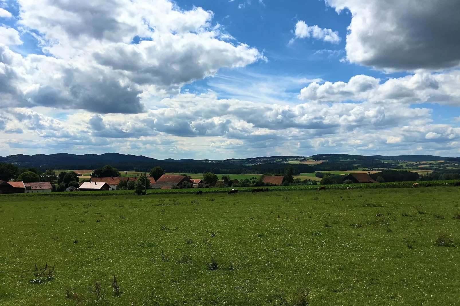 Oberer Bayerischer Wald-Gebieden zomer 1km