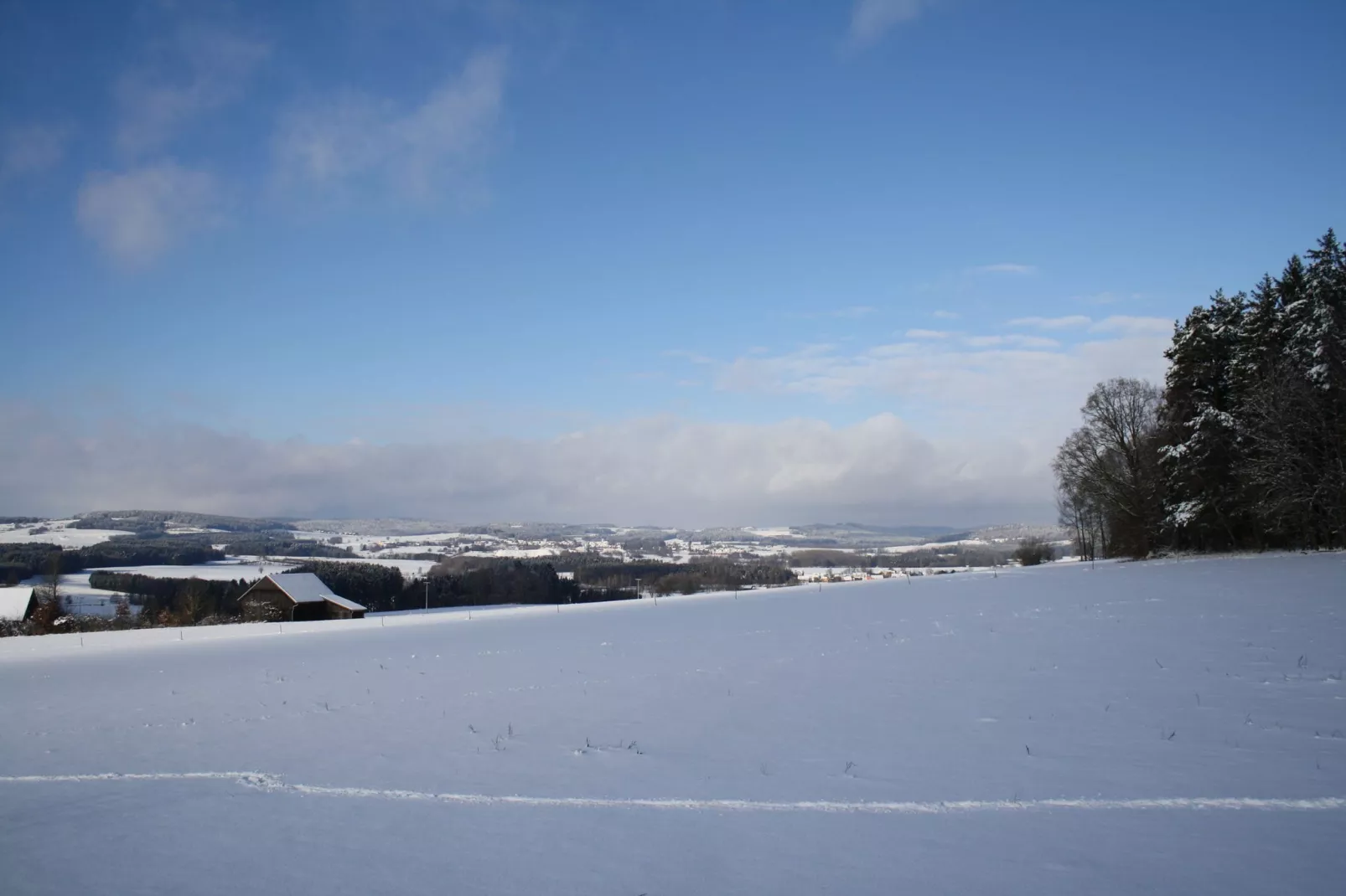 Oberer Bayerischer Wald-Gebied winter 1km