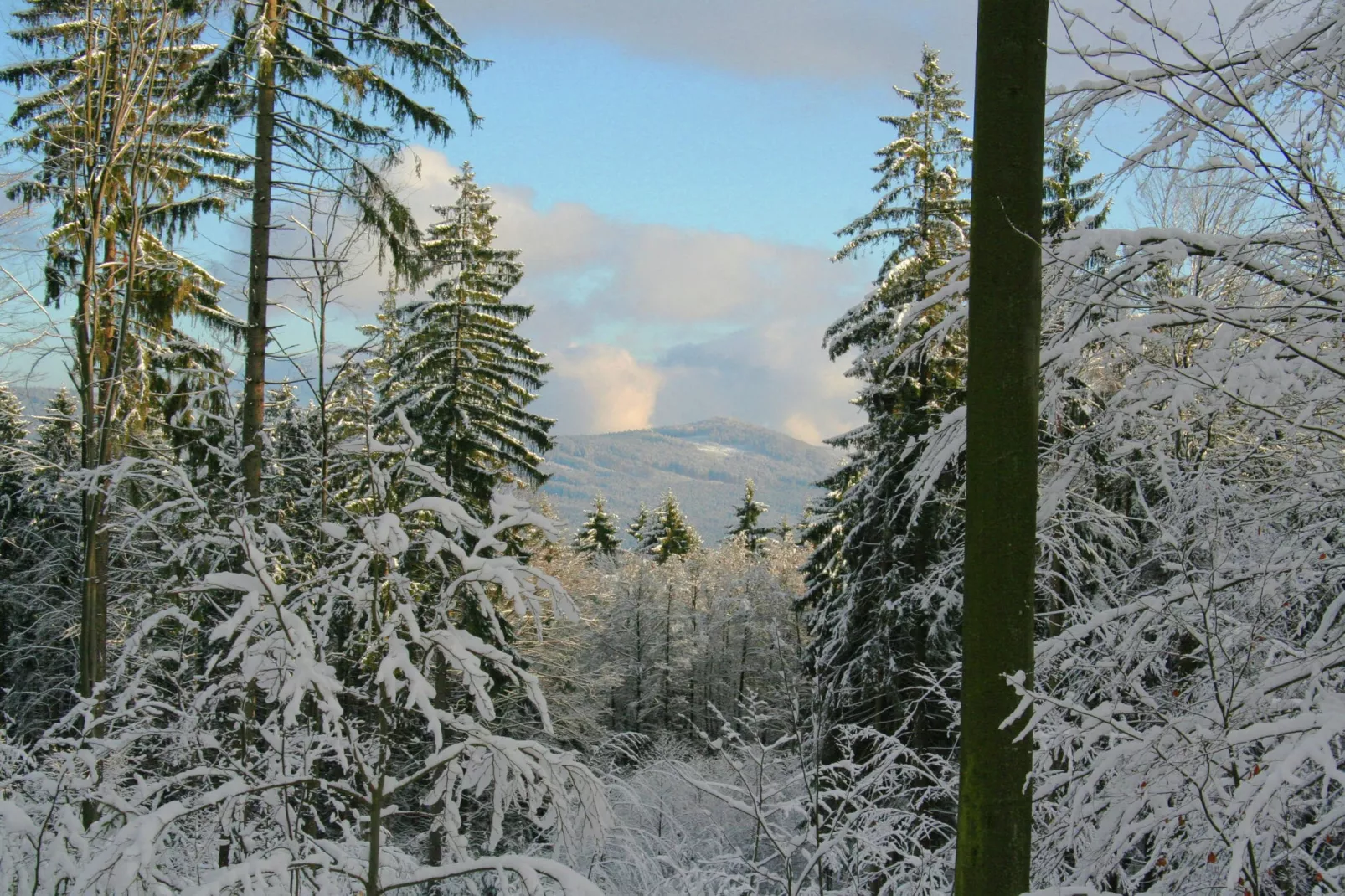 Anna-Gebied winter 20km