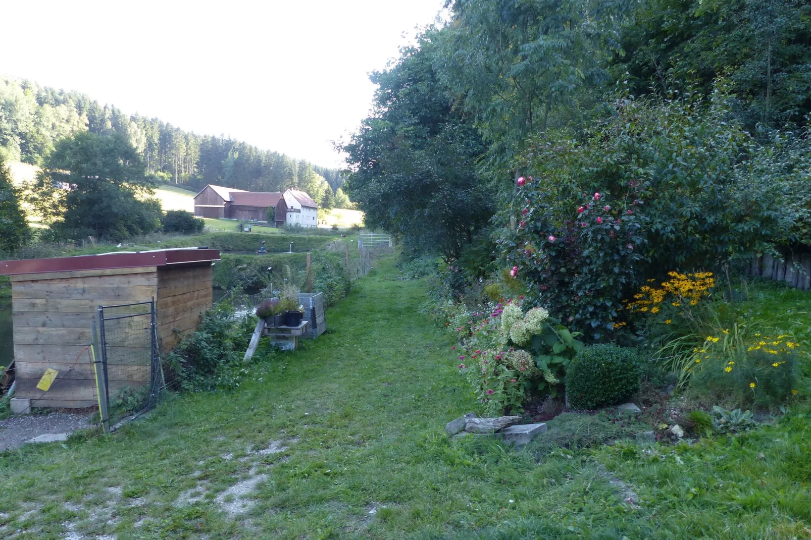 Weiherblasch I-Tuinen zomer