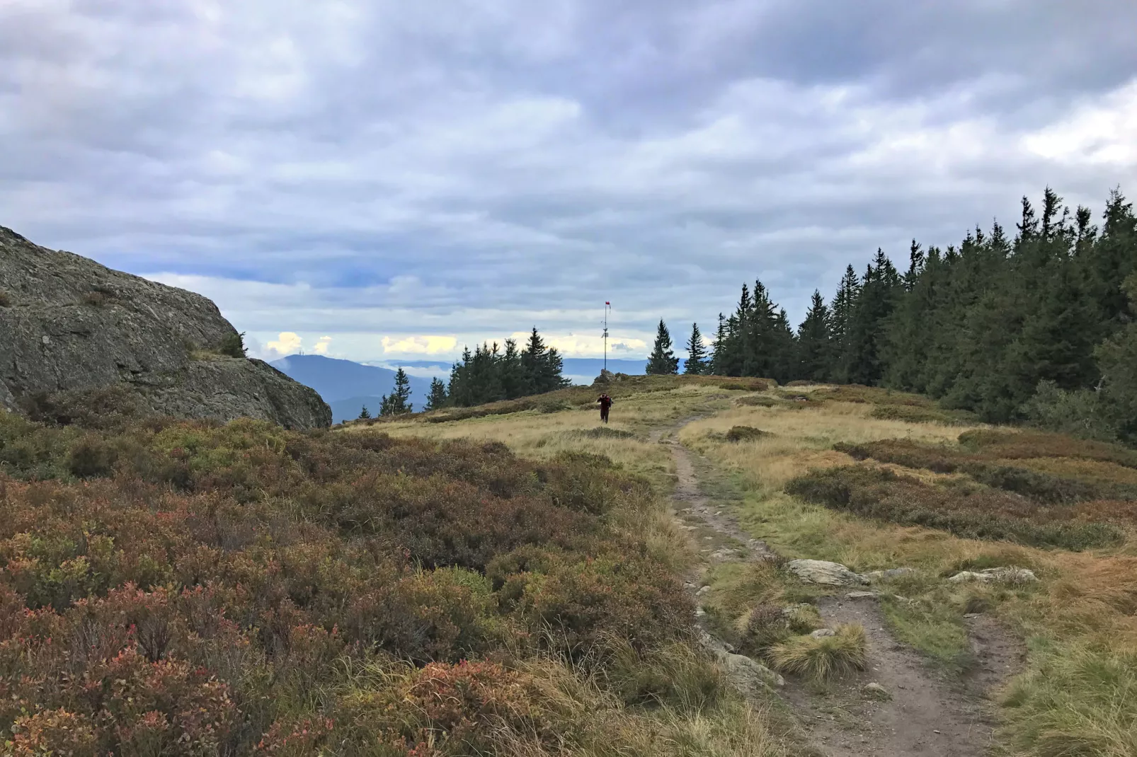 Bayerischer Wald-Gebieden zomer 5km