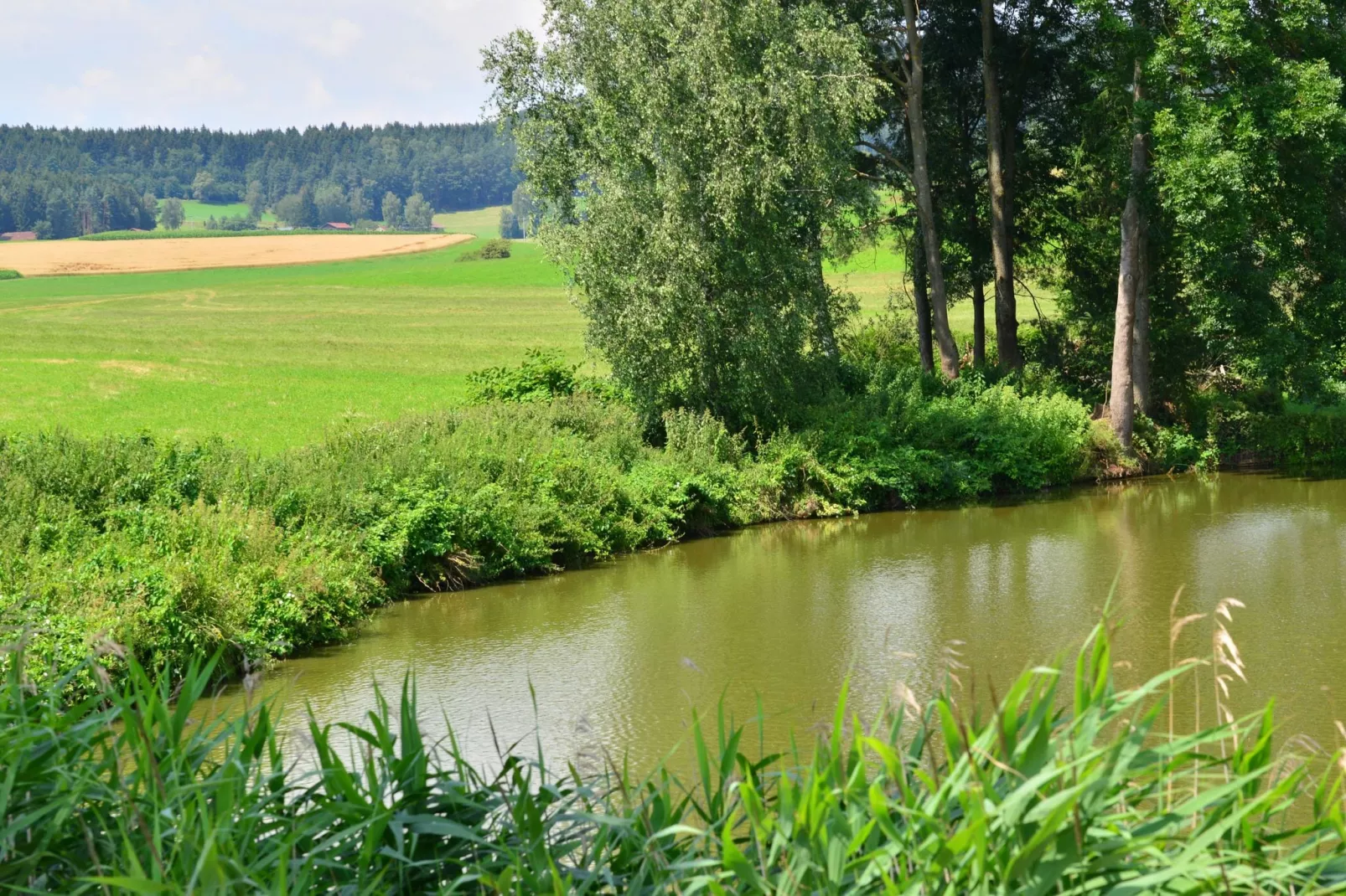 Ferienwohnung Bayerischer Wald-Gebieden zomer 1km