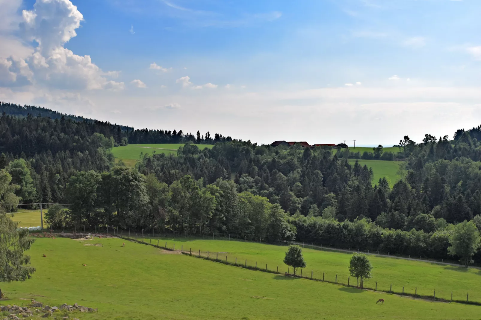 Stocking-Uitzicht zomer