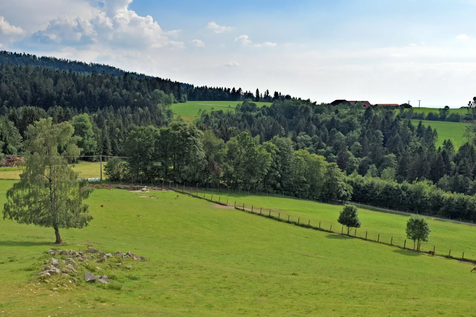 Stocking-Uitzicht zomer