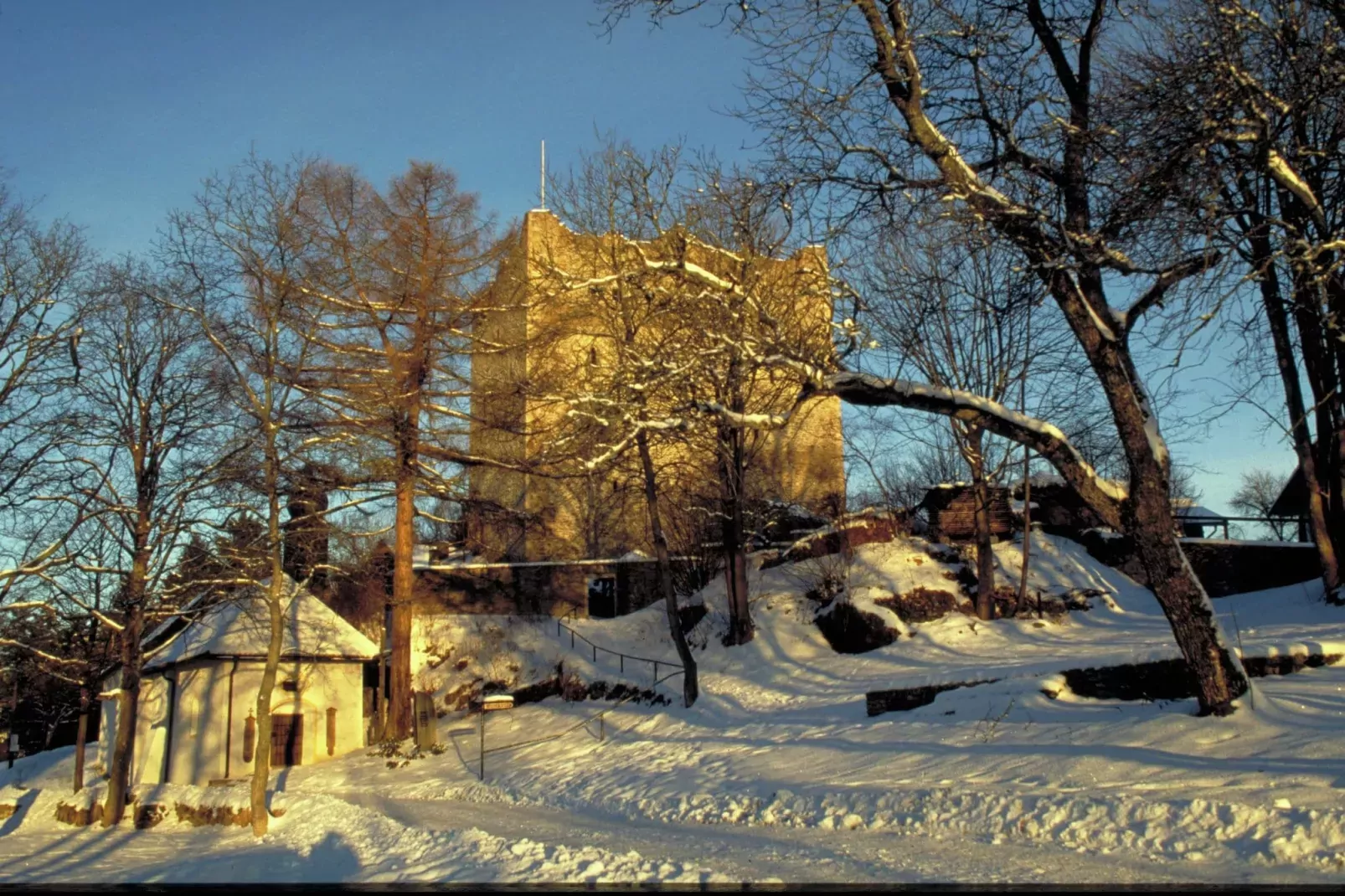 Uniek vakantiehuis in Viechtach met sauna-Gebied winter 1km