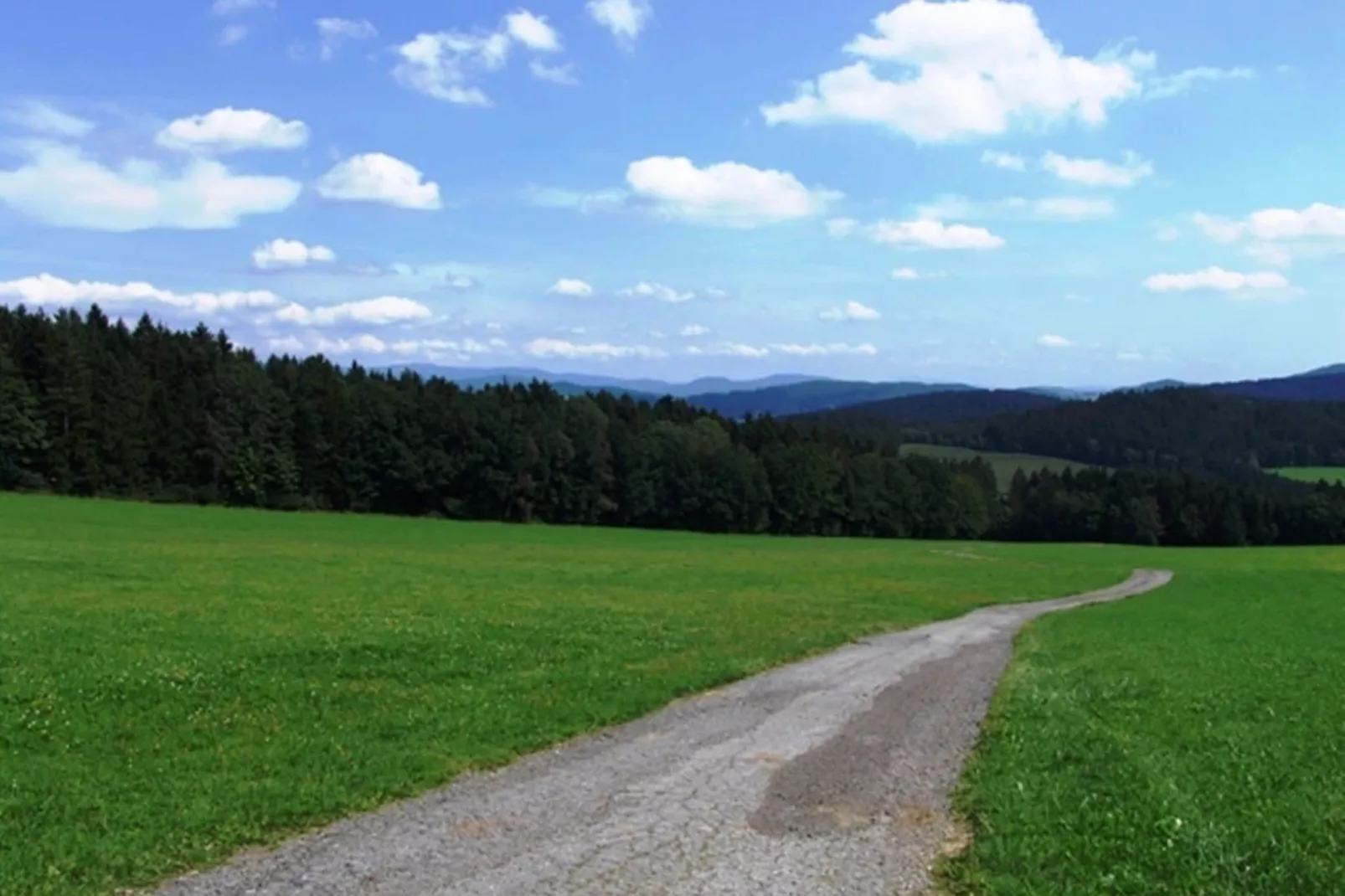 Uniek vakantiehuis in Viechtach met sauna-Gebieden zomer 5km