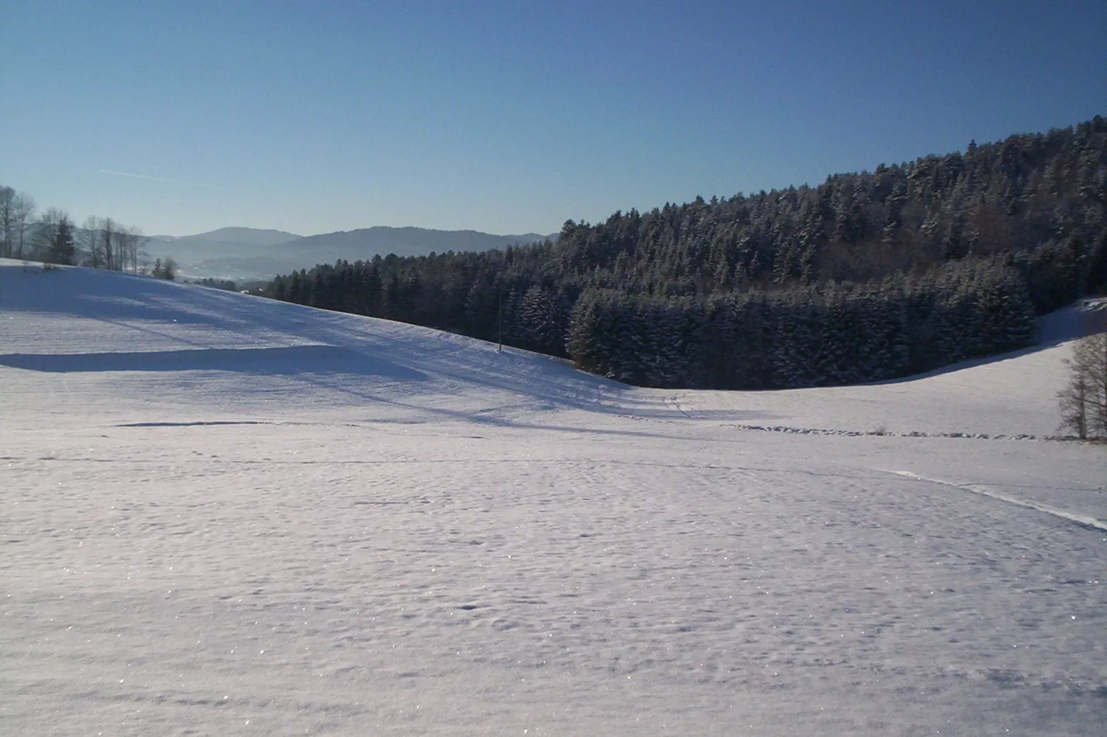 Bayerischer Wald-Uitzicht winter