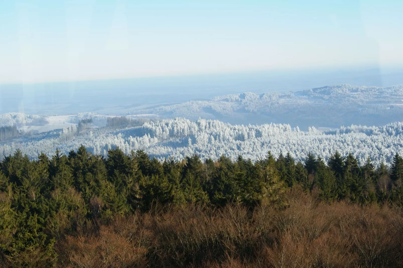 Bayerischer Wald-Gebied winter 20km