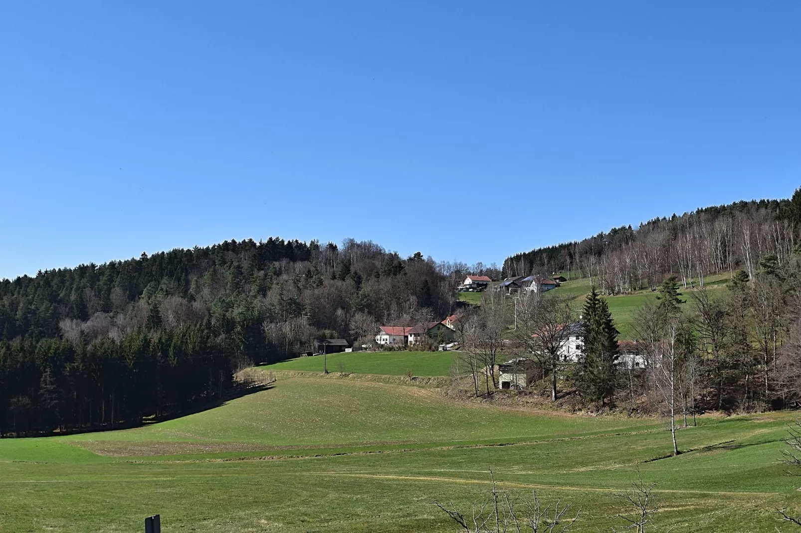 Bayerischer Wald-Uitzicht zomer