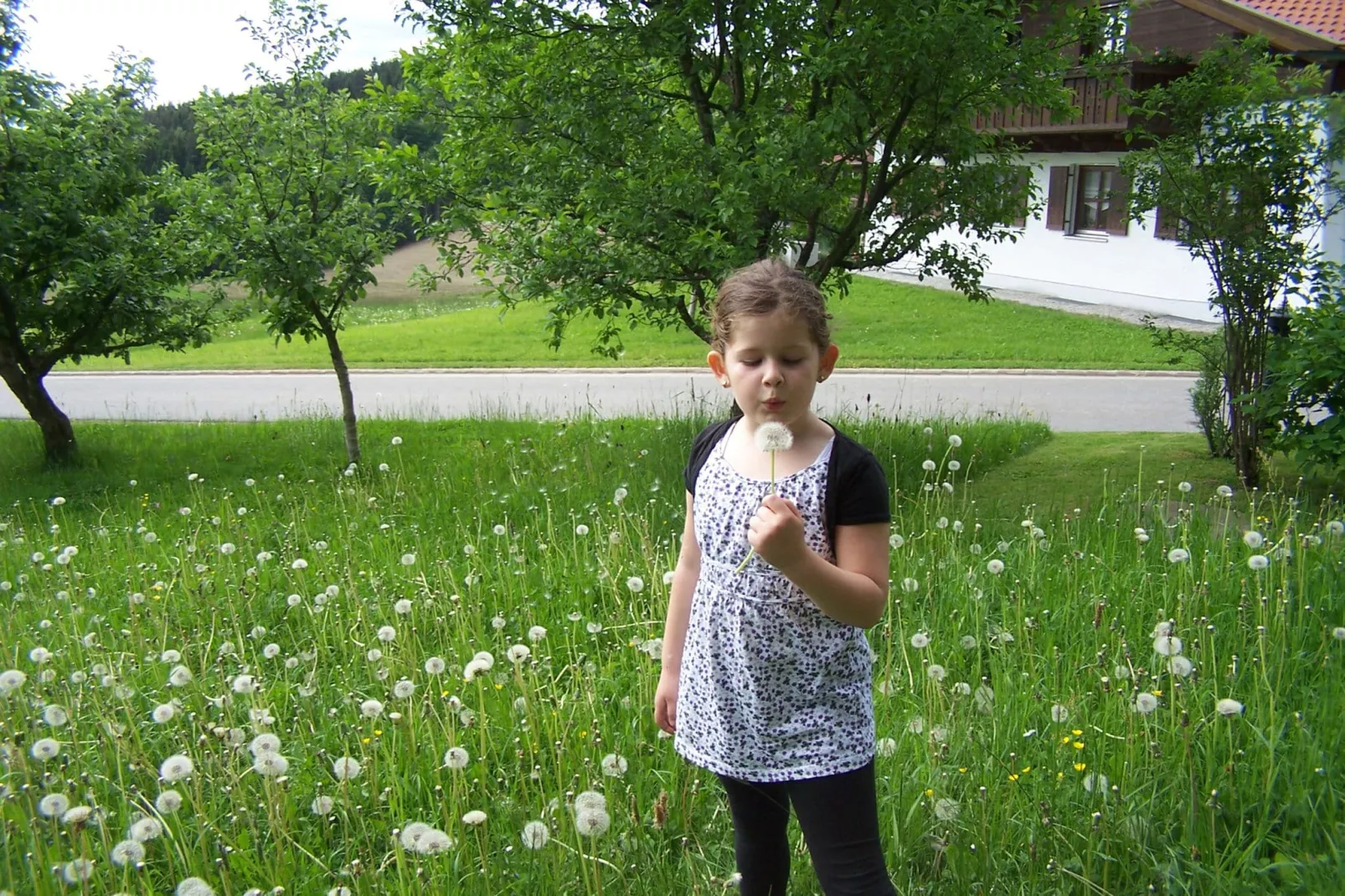 Bayerischer Wald-Tuinen zomer