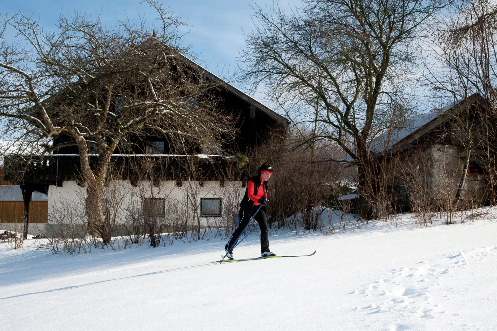 Bayerischer Wald-Exterieur winter