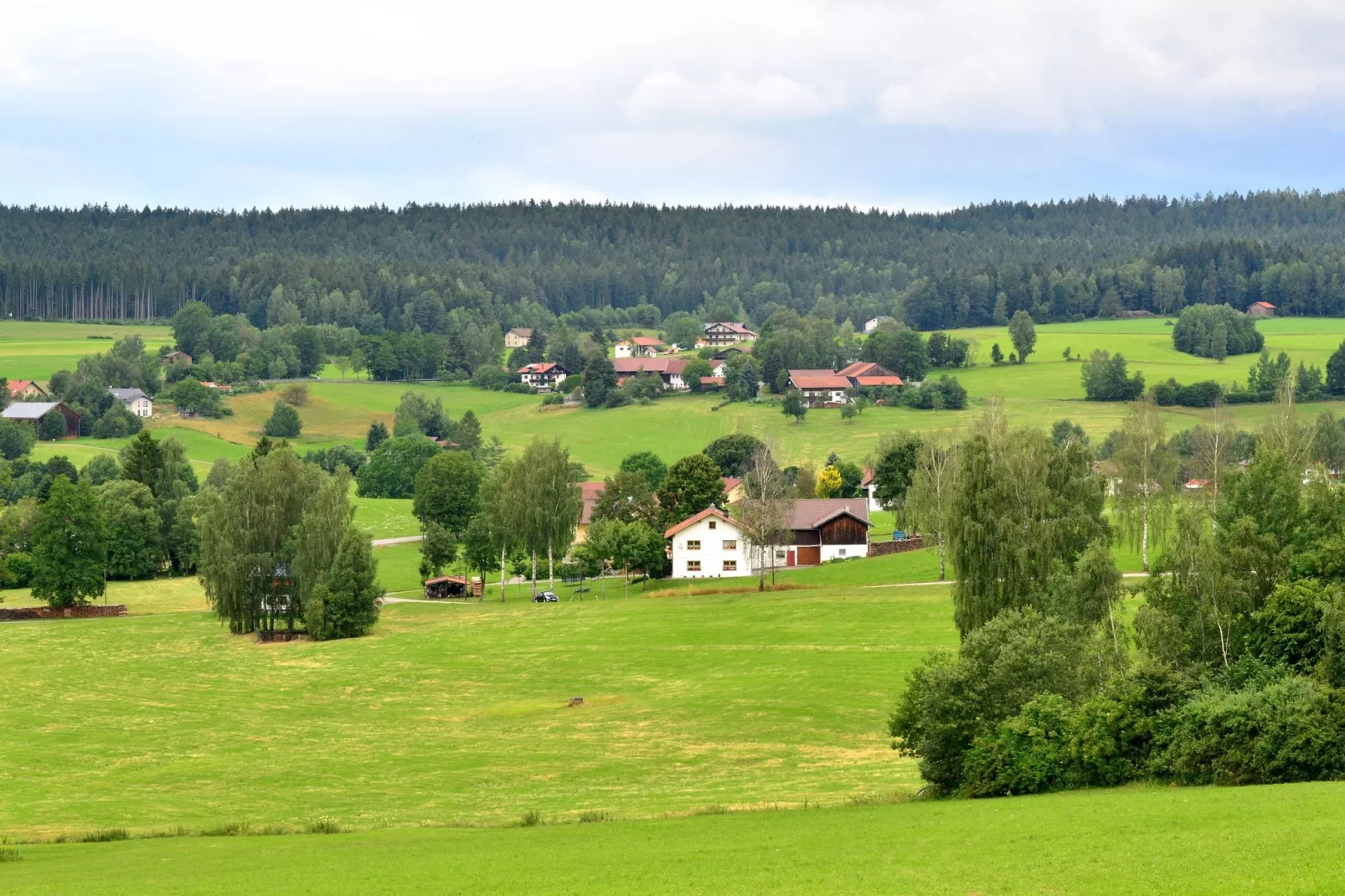 Bayerischer Wald-Uitzicht zomer