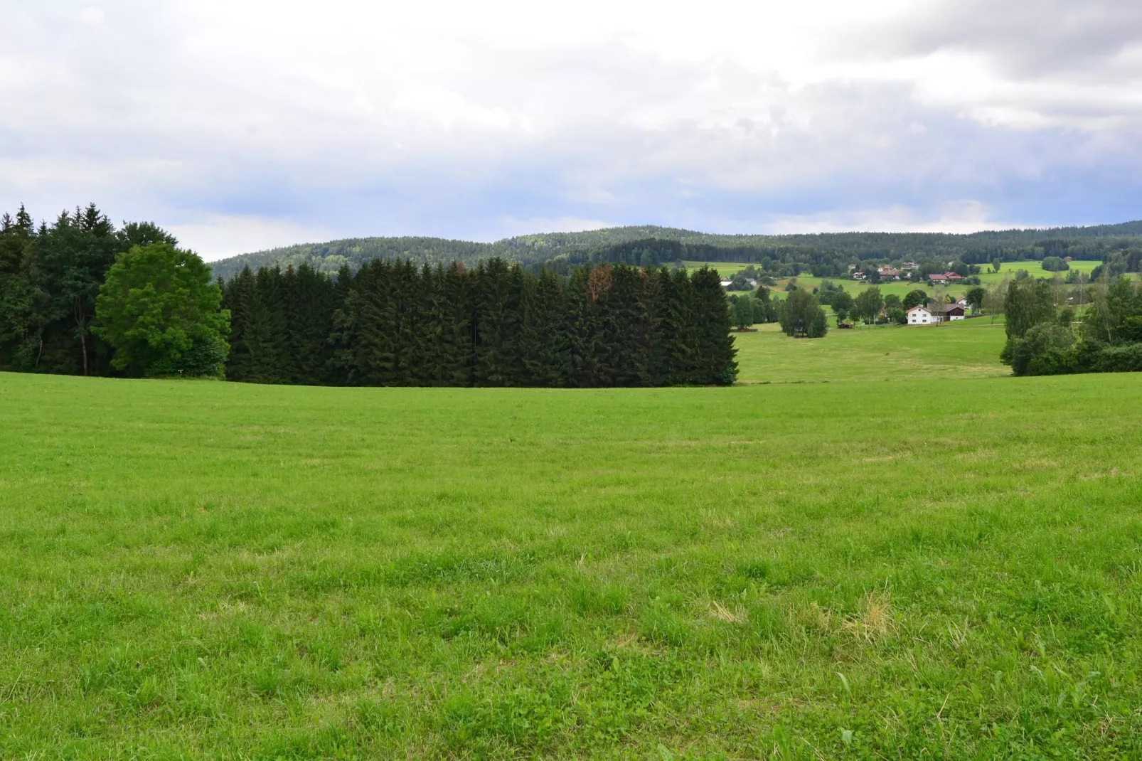 Bayerischer Wald-Gebieden zomer 1km