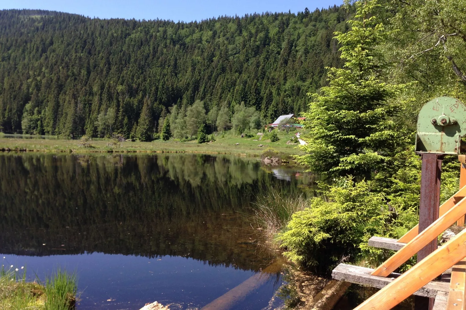 Bayerischer Wald-Gebieden zomer 20km