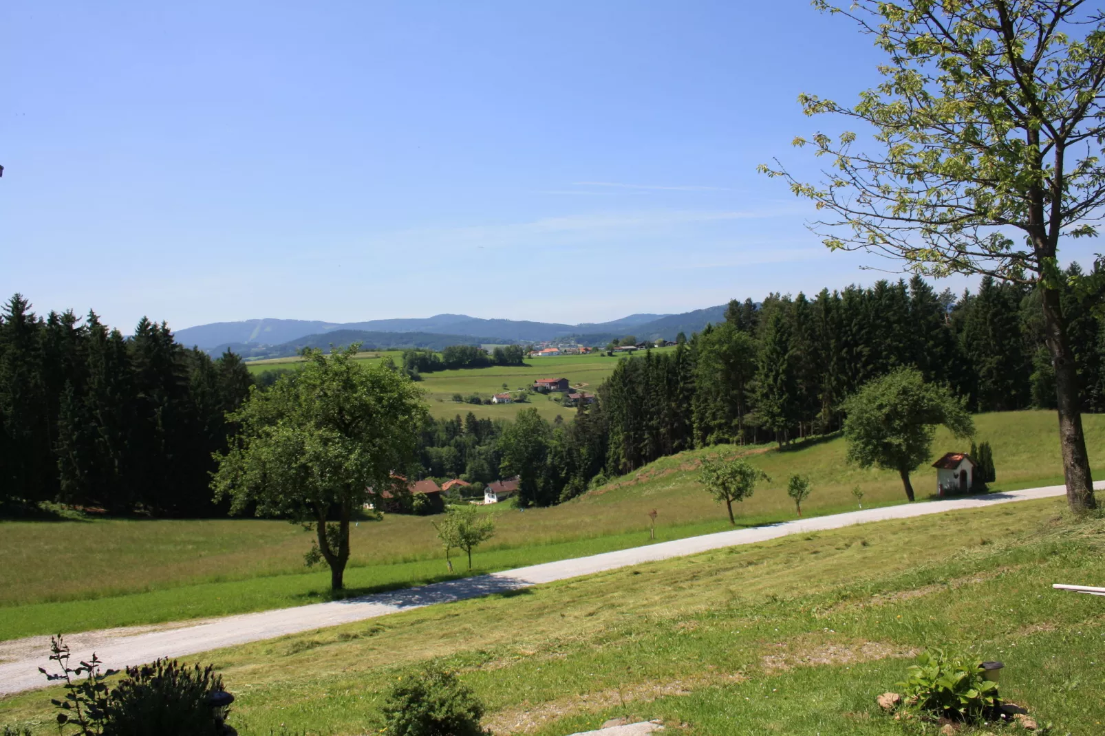 Gruber Ferienhaus-Uitzicht zomer