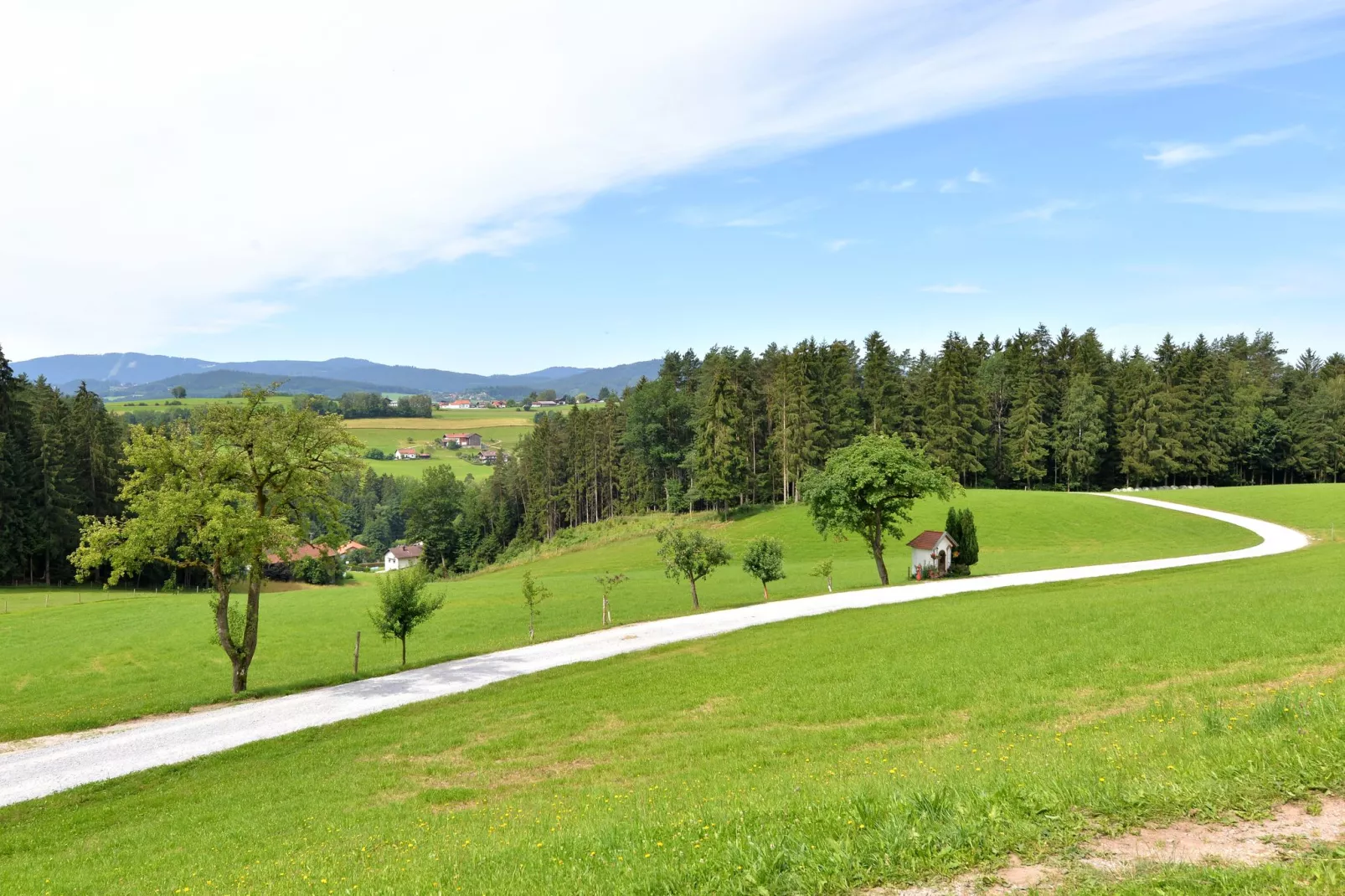 Gruber Ferienhaus-Gebieden zomer 1km