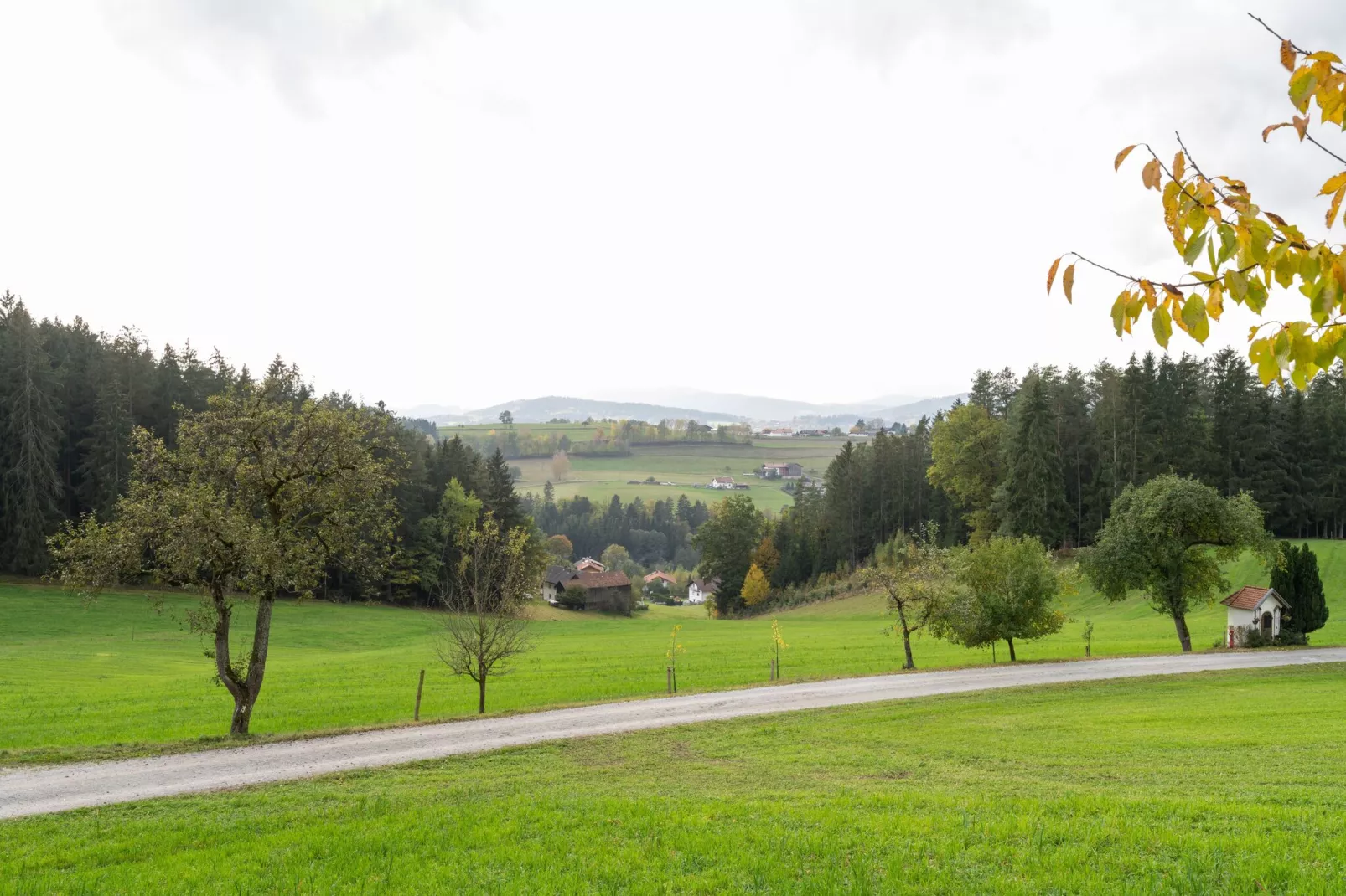 Gruber Ferienhaus-Gebieden zomer 5km