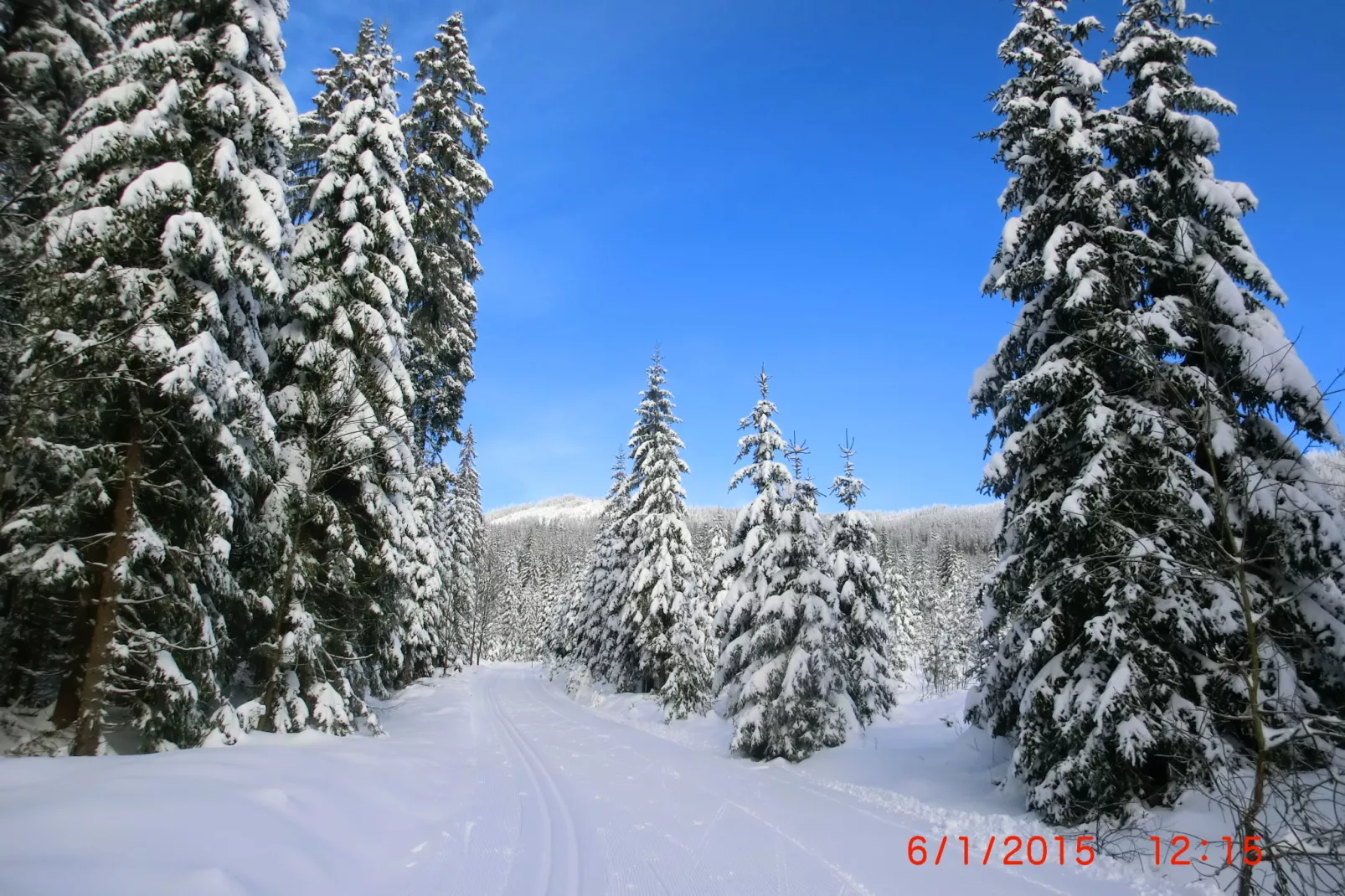 Bayerwald-Gebied winter 5km