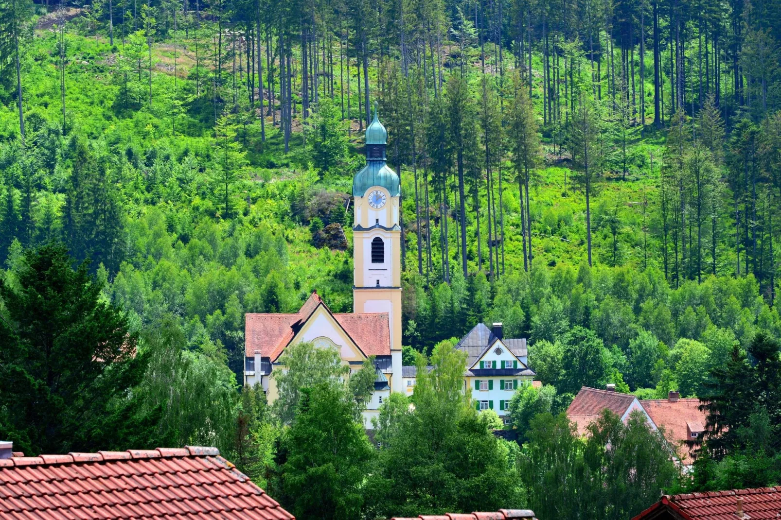 Bayerwald-Gebieden zomer 5km