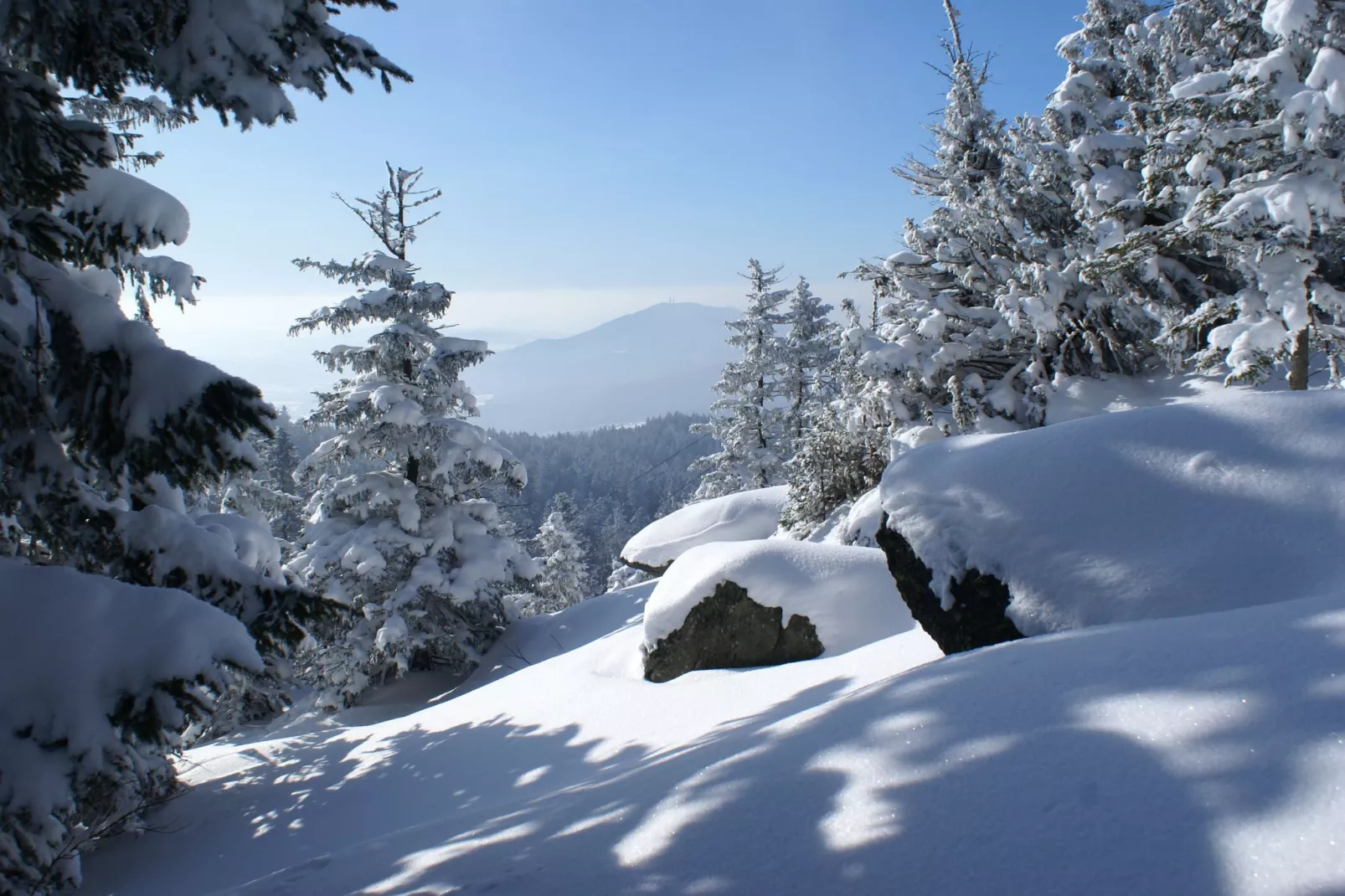 Im Zellertal-Gebied winter 5km