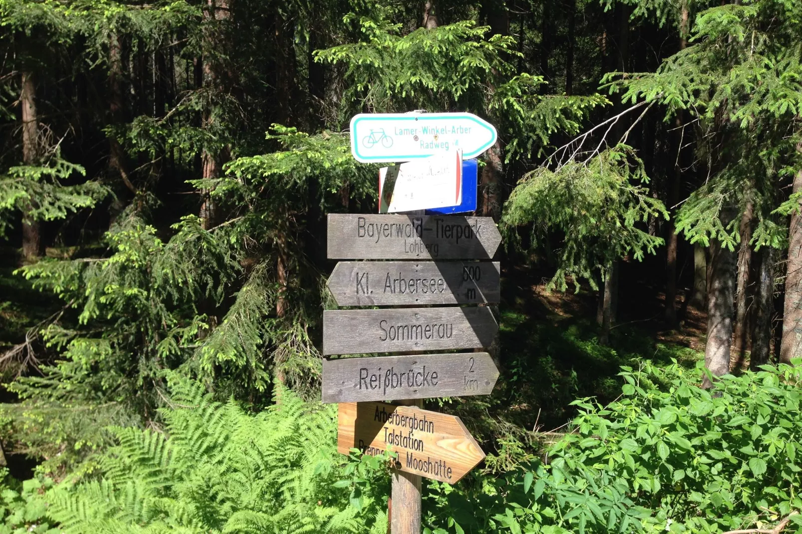 Im Zellertal-Gebieden zomer 20km