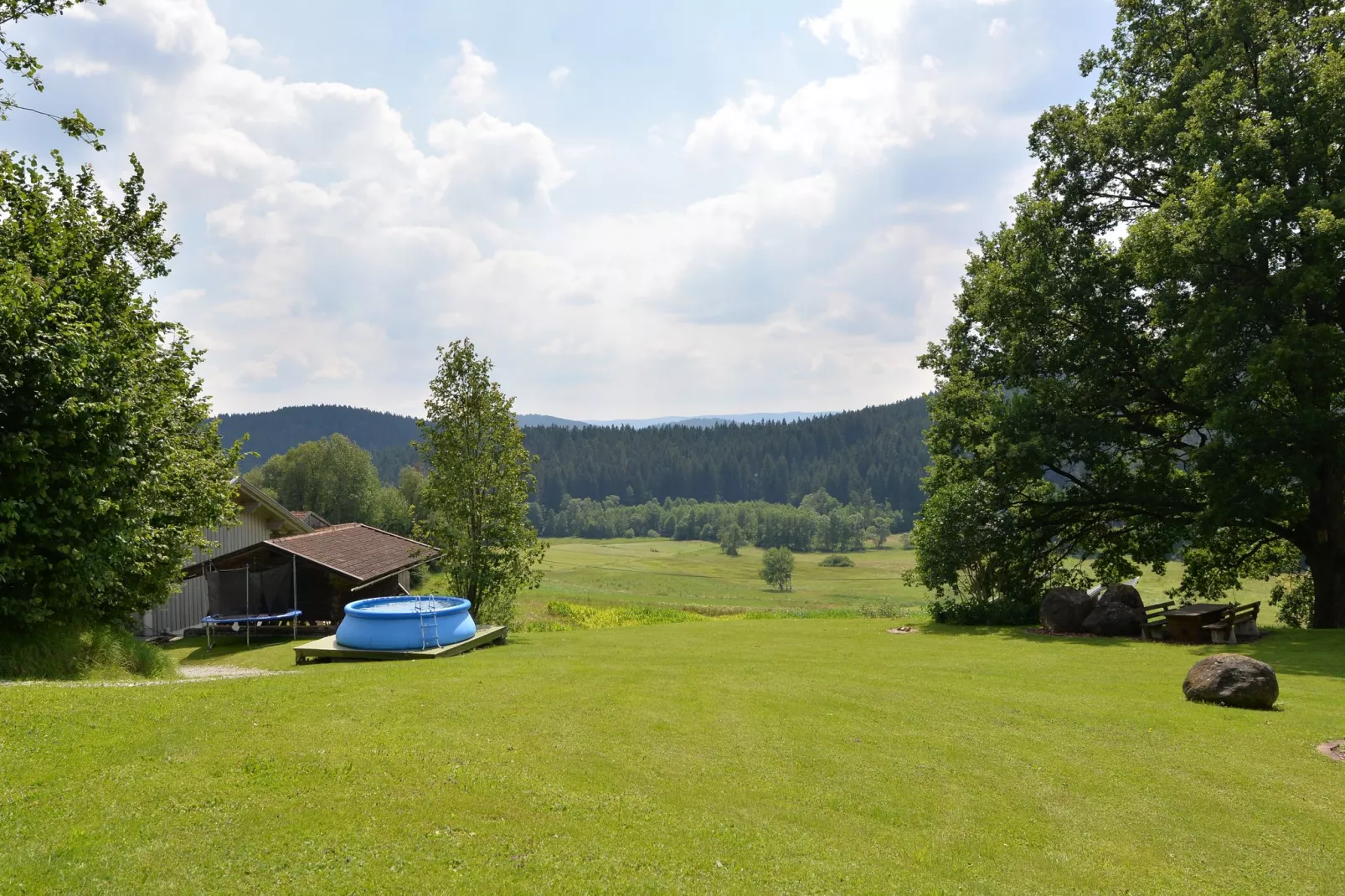 Vergissmeinnicht-Tuinen zomer