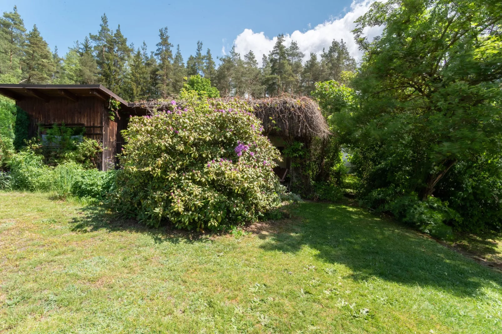 Ferienwohnung Baerenhöhle-Gebieden zomer 1km