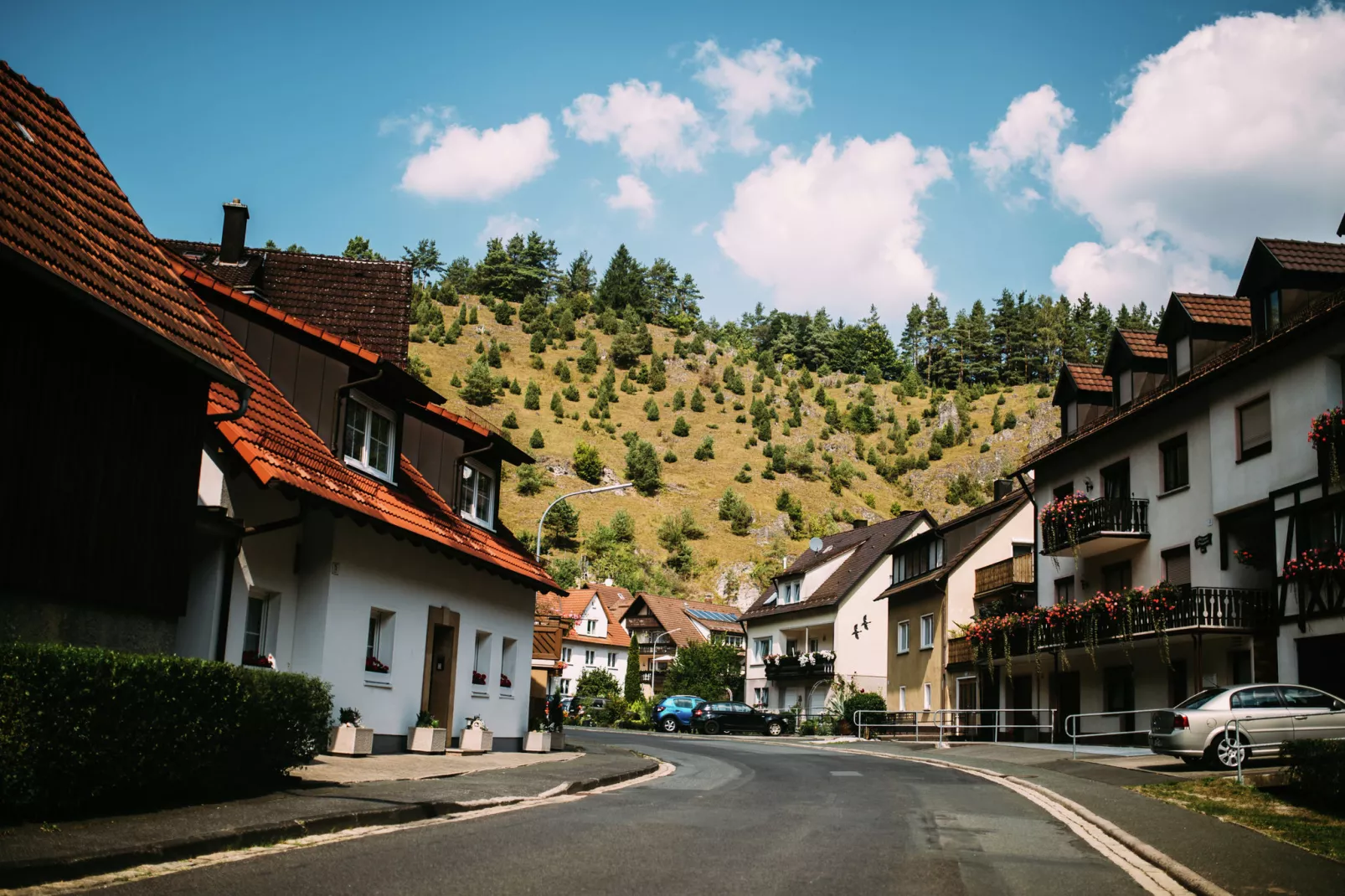 Fränkische Schweiz-Gebieden zomer 1km