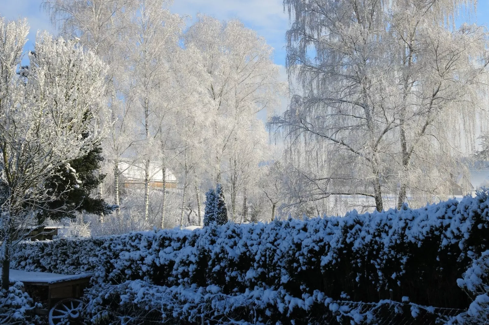 Burggrub-Uitzicht winter