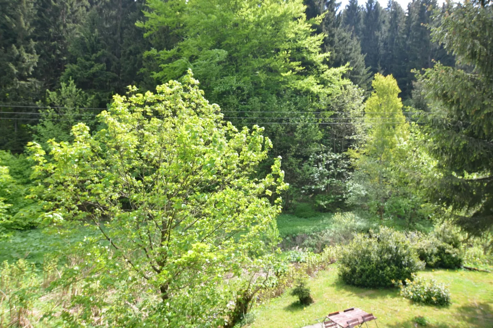 Waldblick-Uitzicht zomer