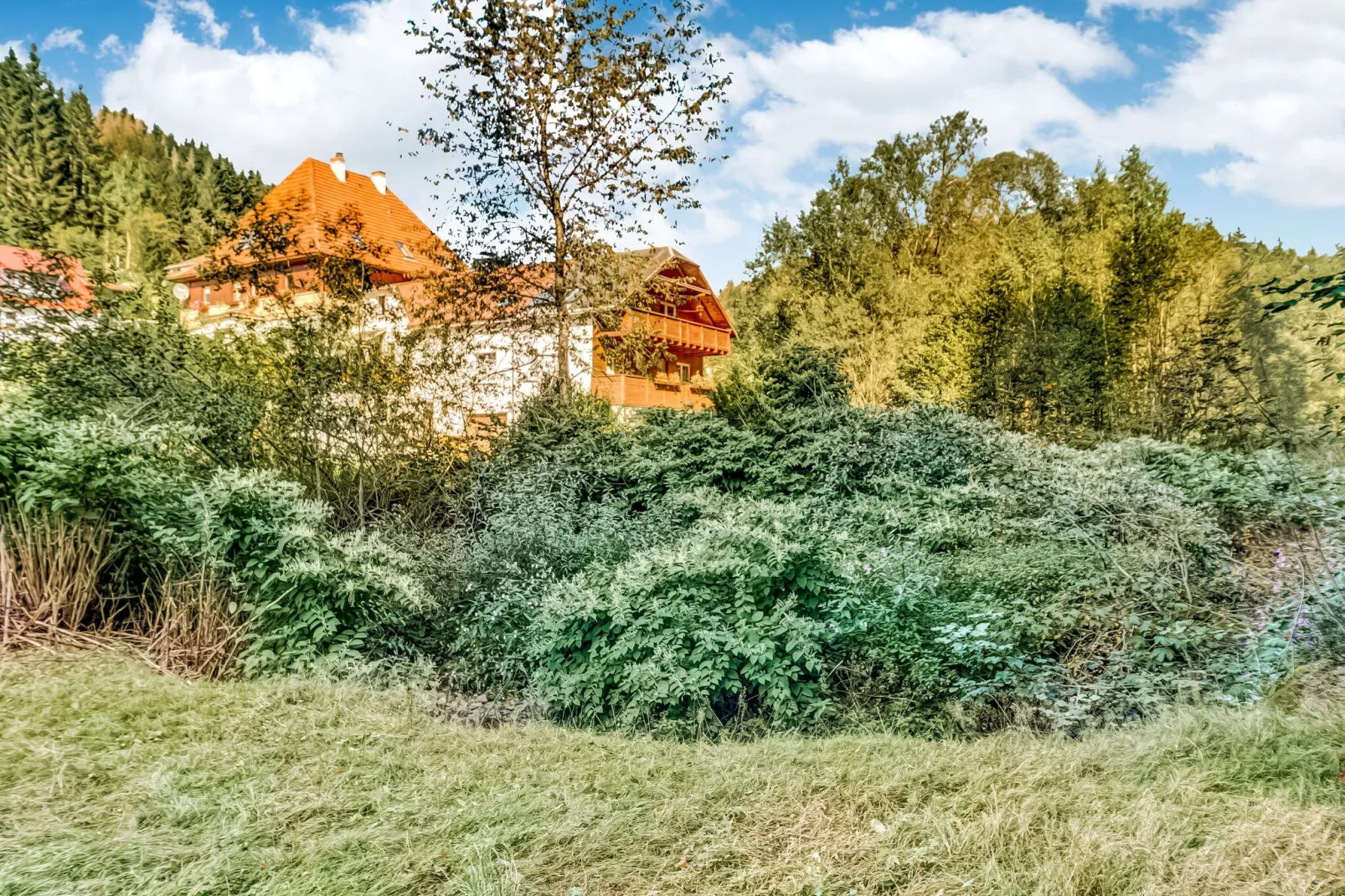 Waldblick-Gebieden zomer 1km