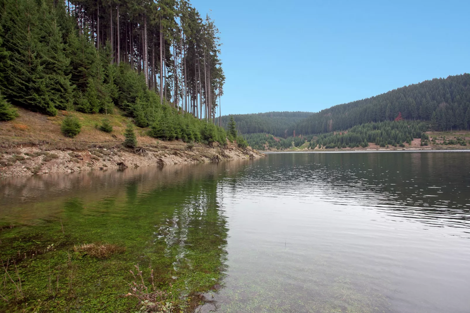 Waldblick-Gebieden zomer 5km