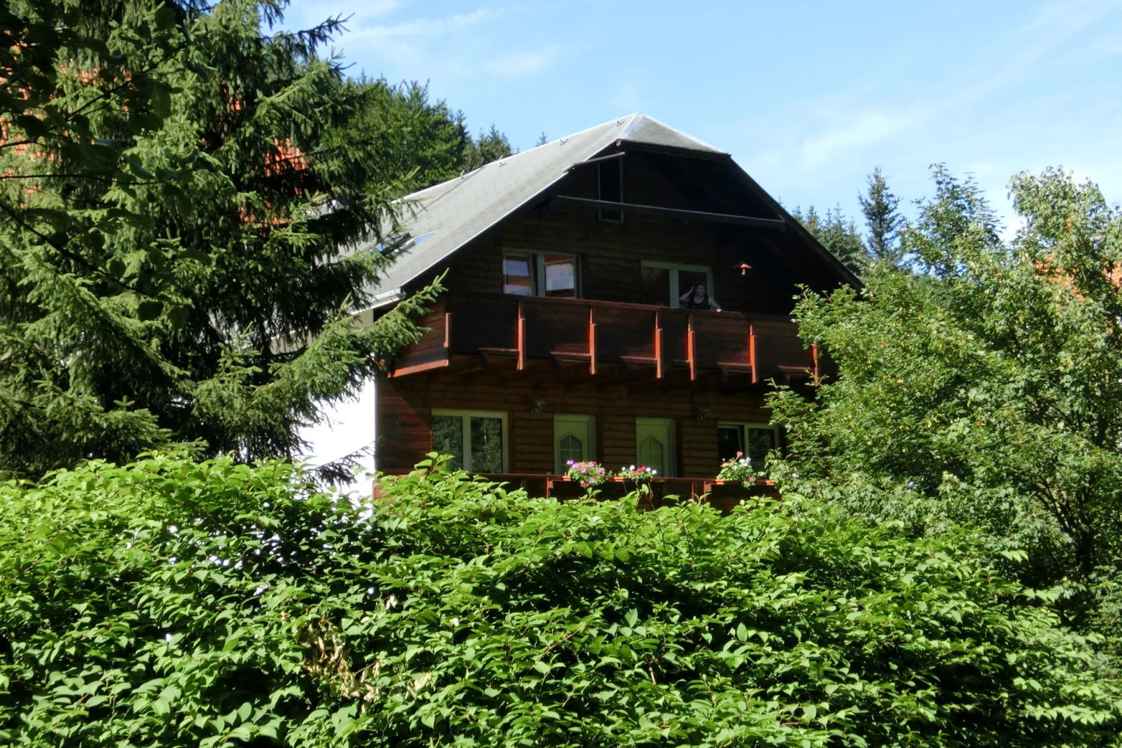 Waldblick-Buitenkant zomer