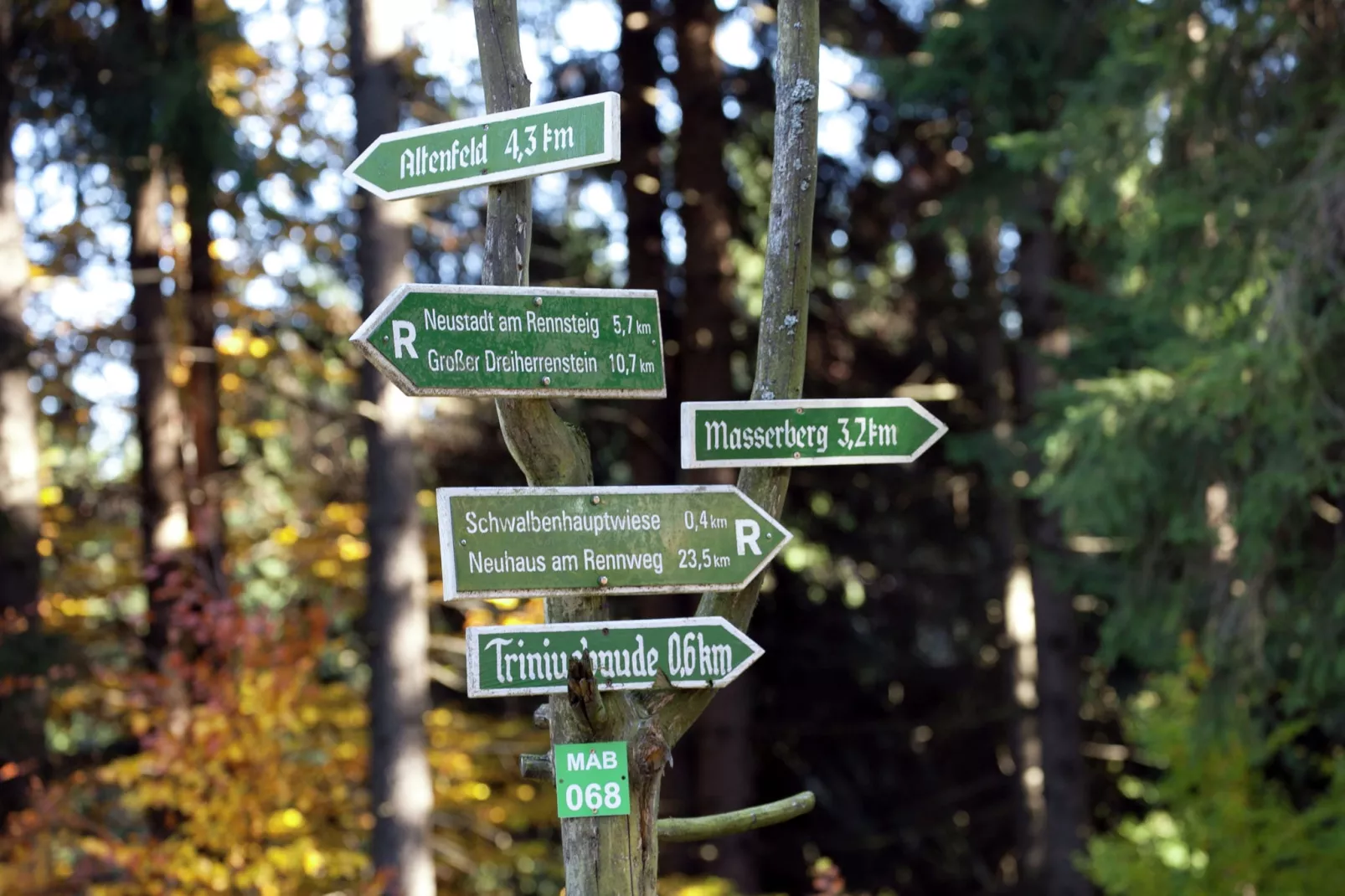 Waldblick-Gebieden zomer 5km