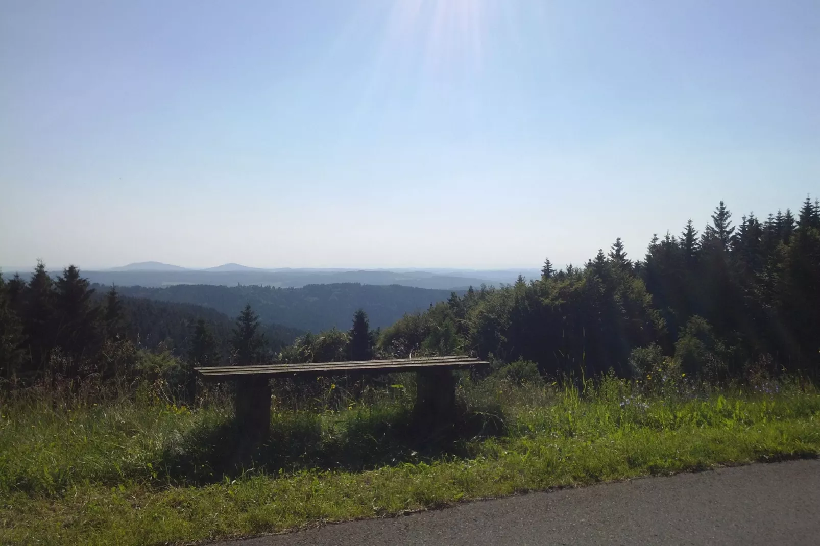 Björn-Gebieden zomer 1km