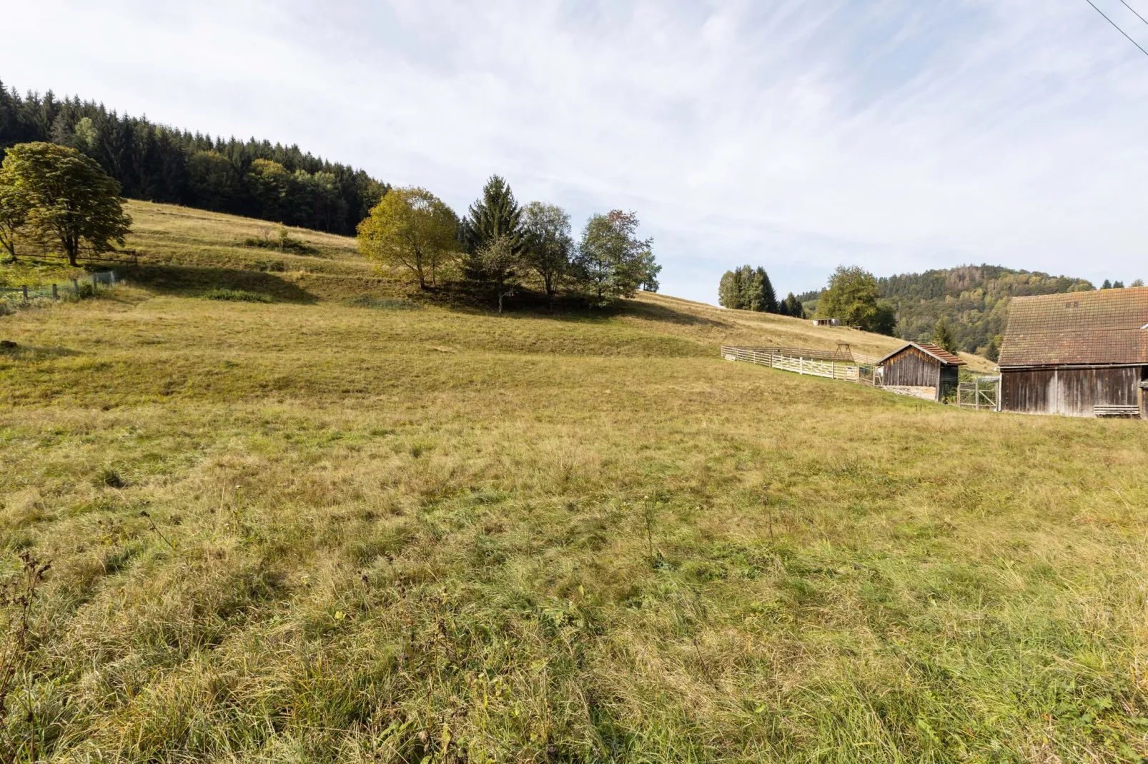 Talblick-Gebieden zomer 1km