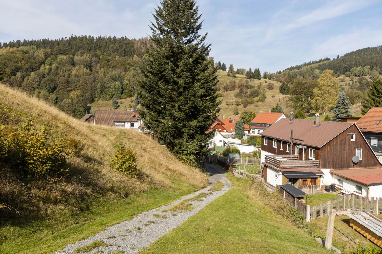 Talblick-Gebieden zomer 1km