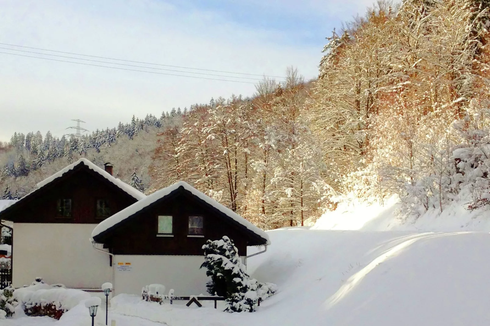 Goldisthal-Exterieur winter