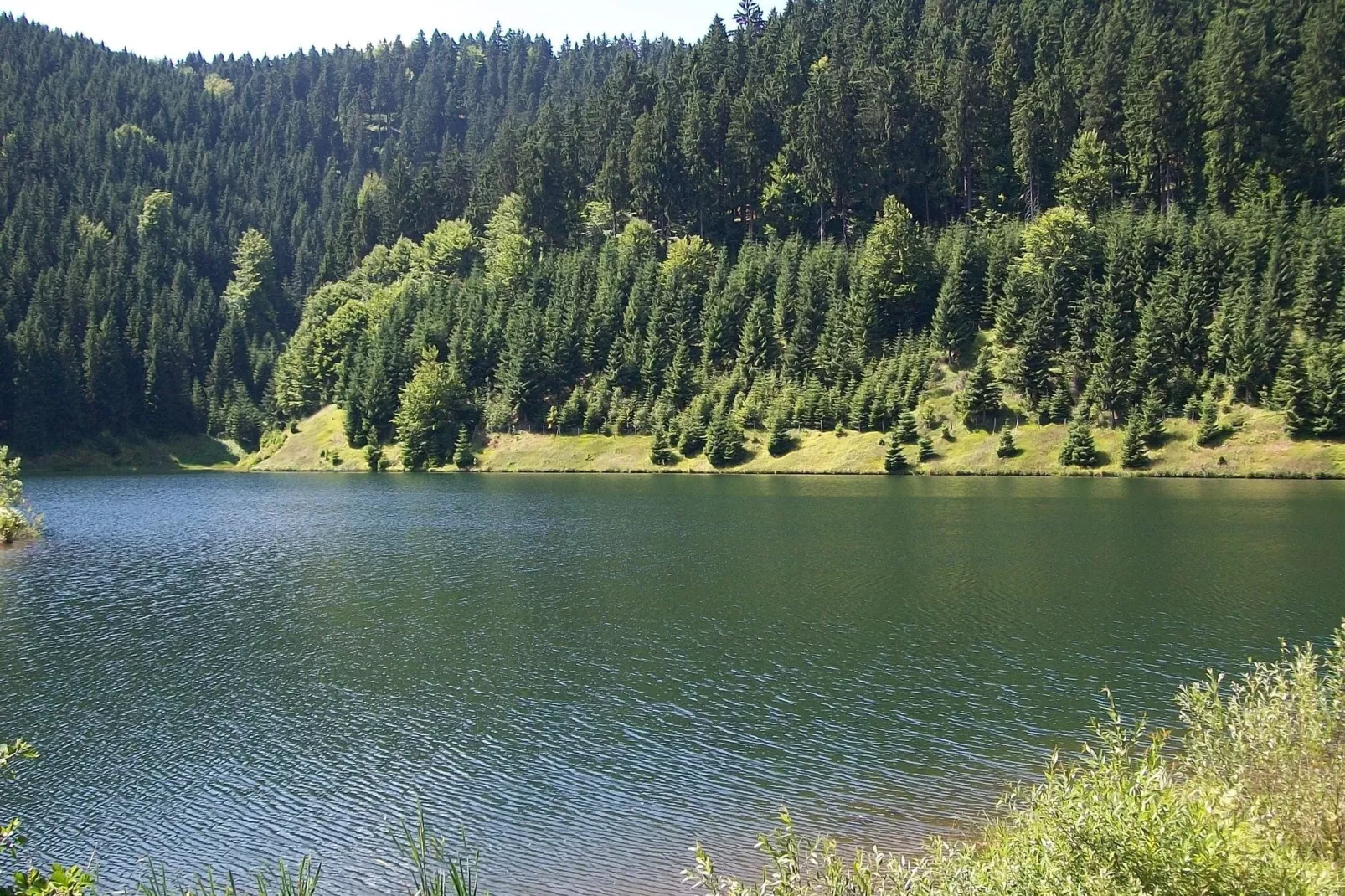 Goldisthal-Gebieden zomer 5km