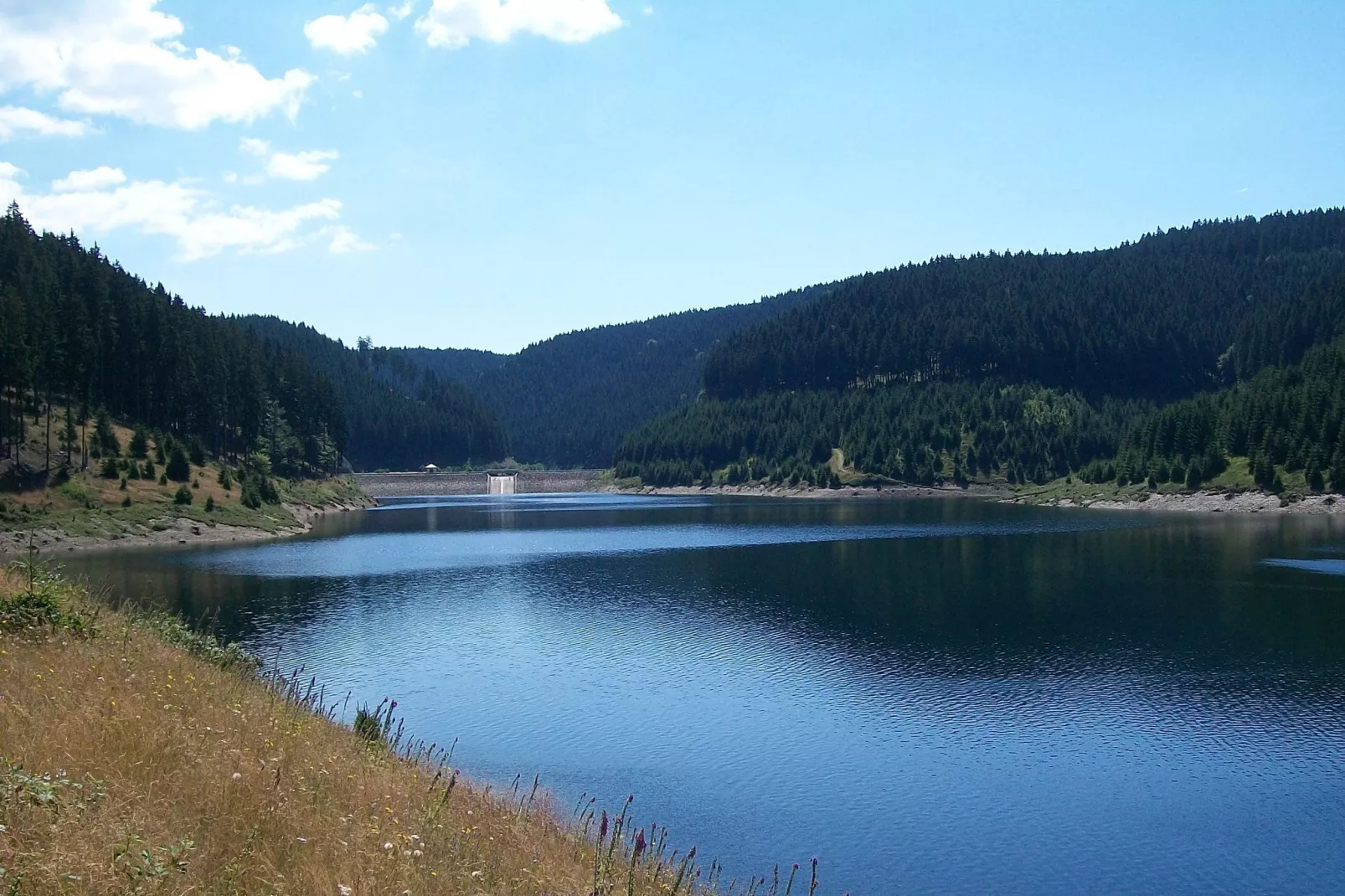 Goldisthal-Gebieden zomer 5km