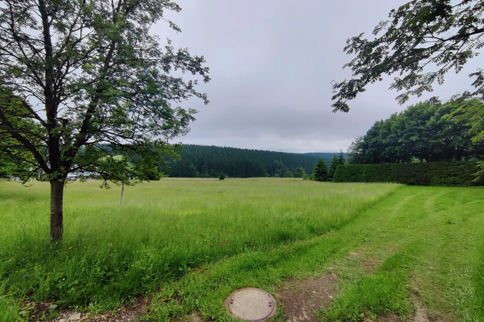 Am Rennsteig-Gebieden zomer 5km