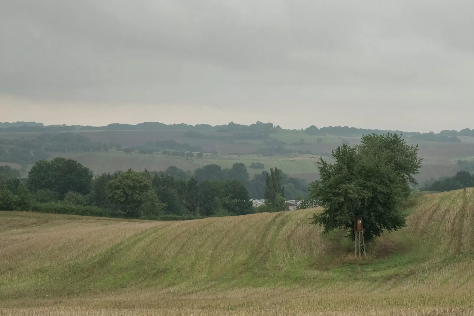 Neustadt-Gebieden zomer 5km