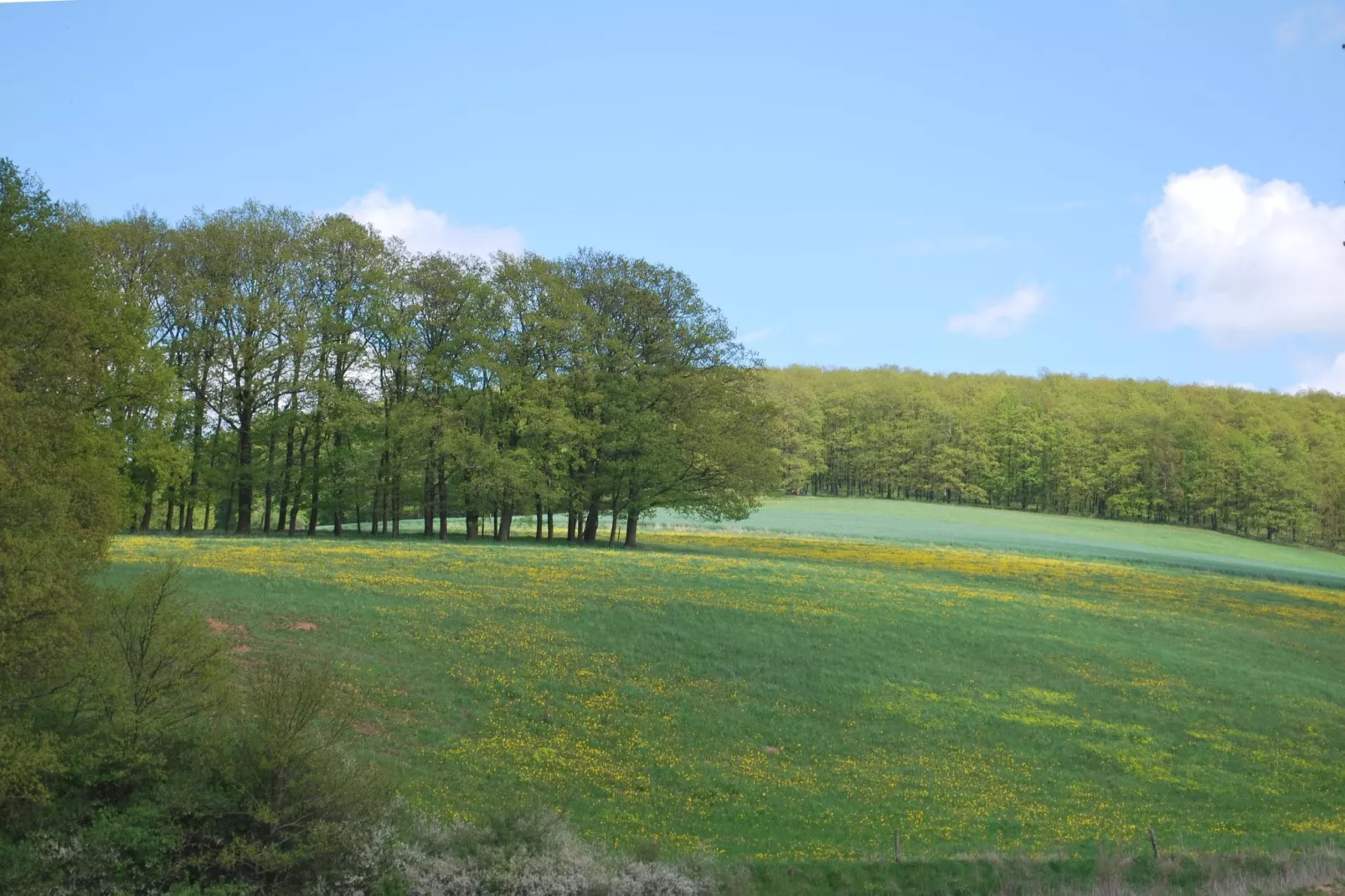 Alte Wassermühle-Gebieden zomer 5km