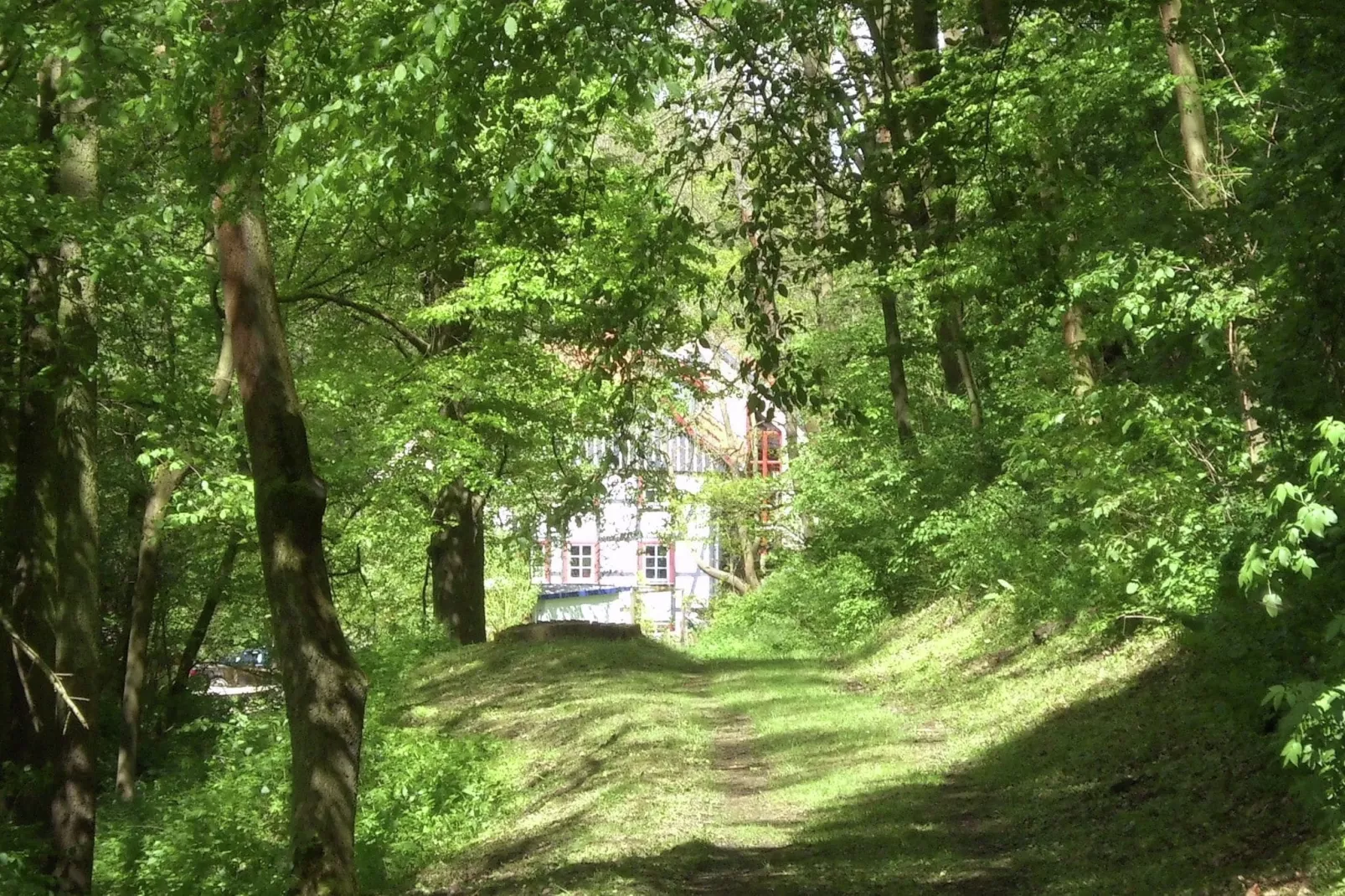 Alte Wassermühle-Gebieden zomer 5km