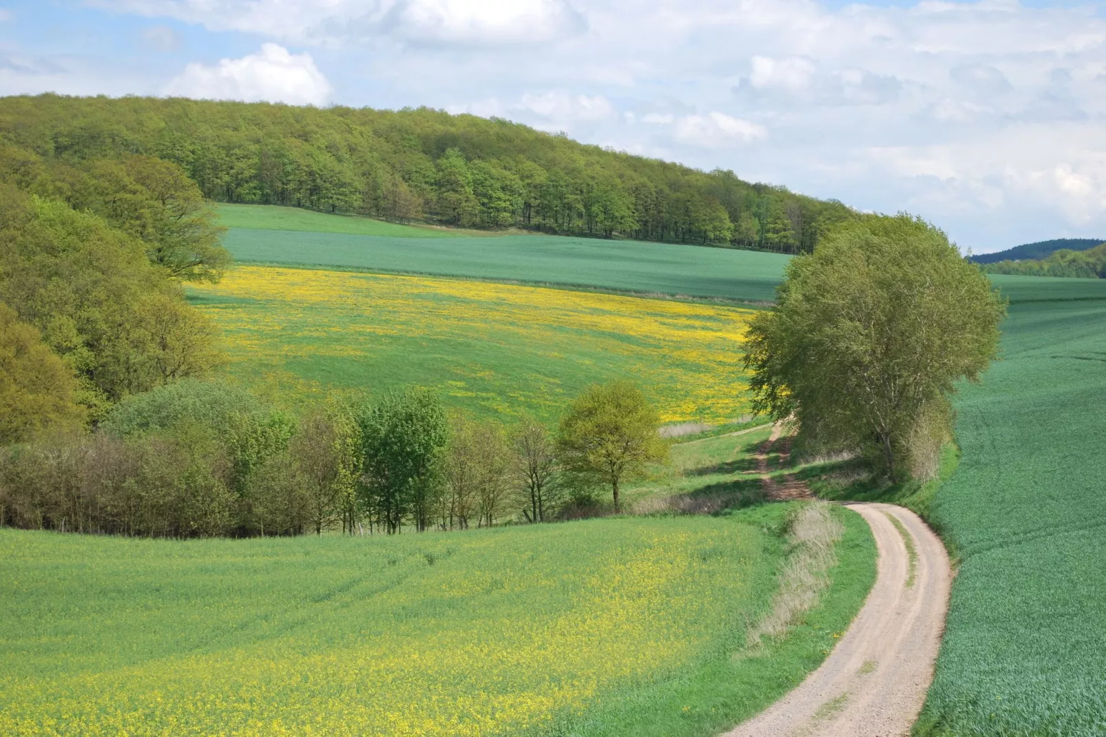 Alte Wassermühle-Gebieden zomer 5km